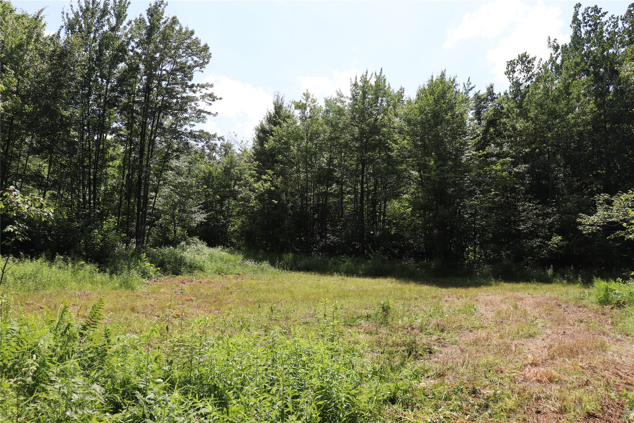 Property Photo #54