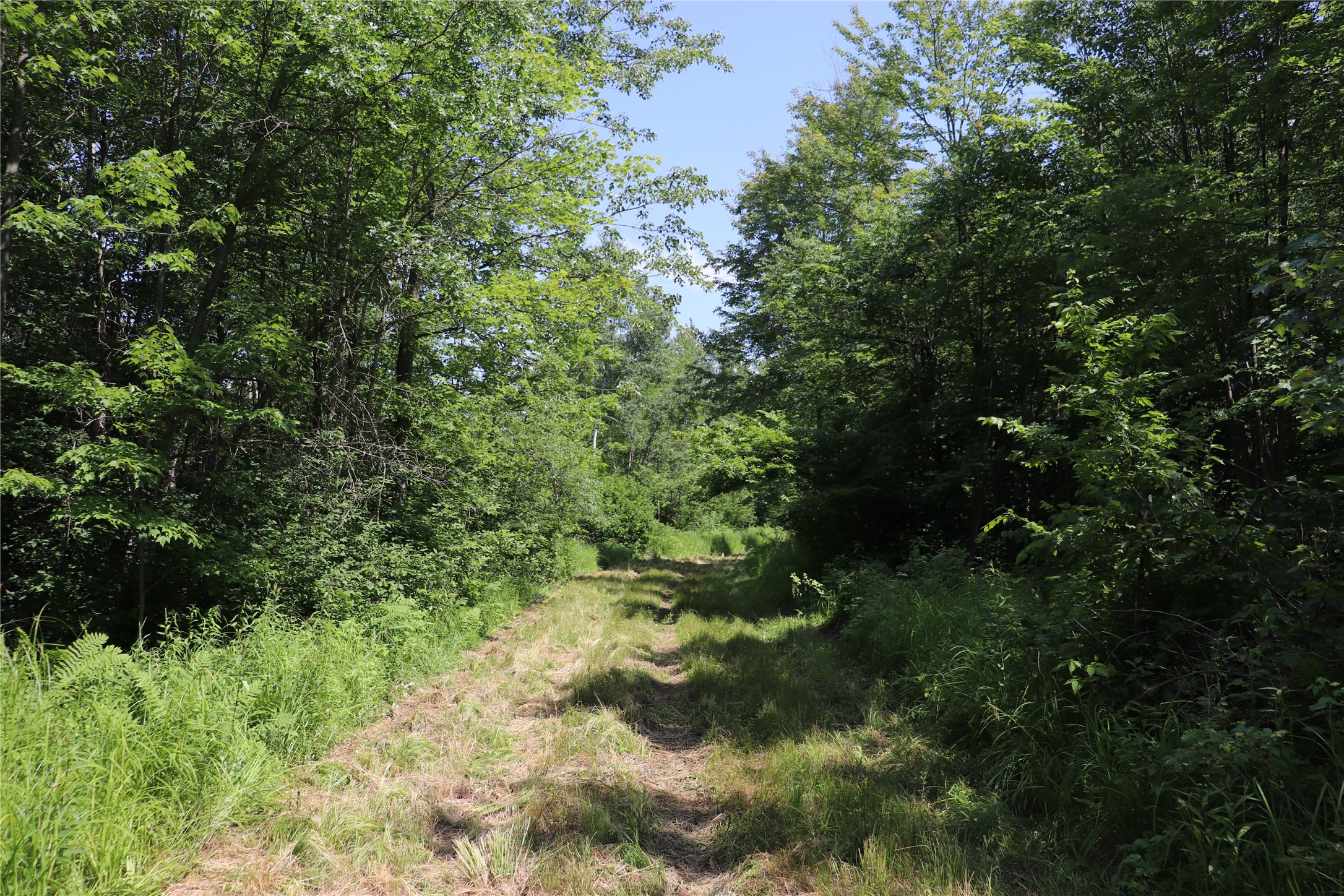 Property Photo #56