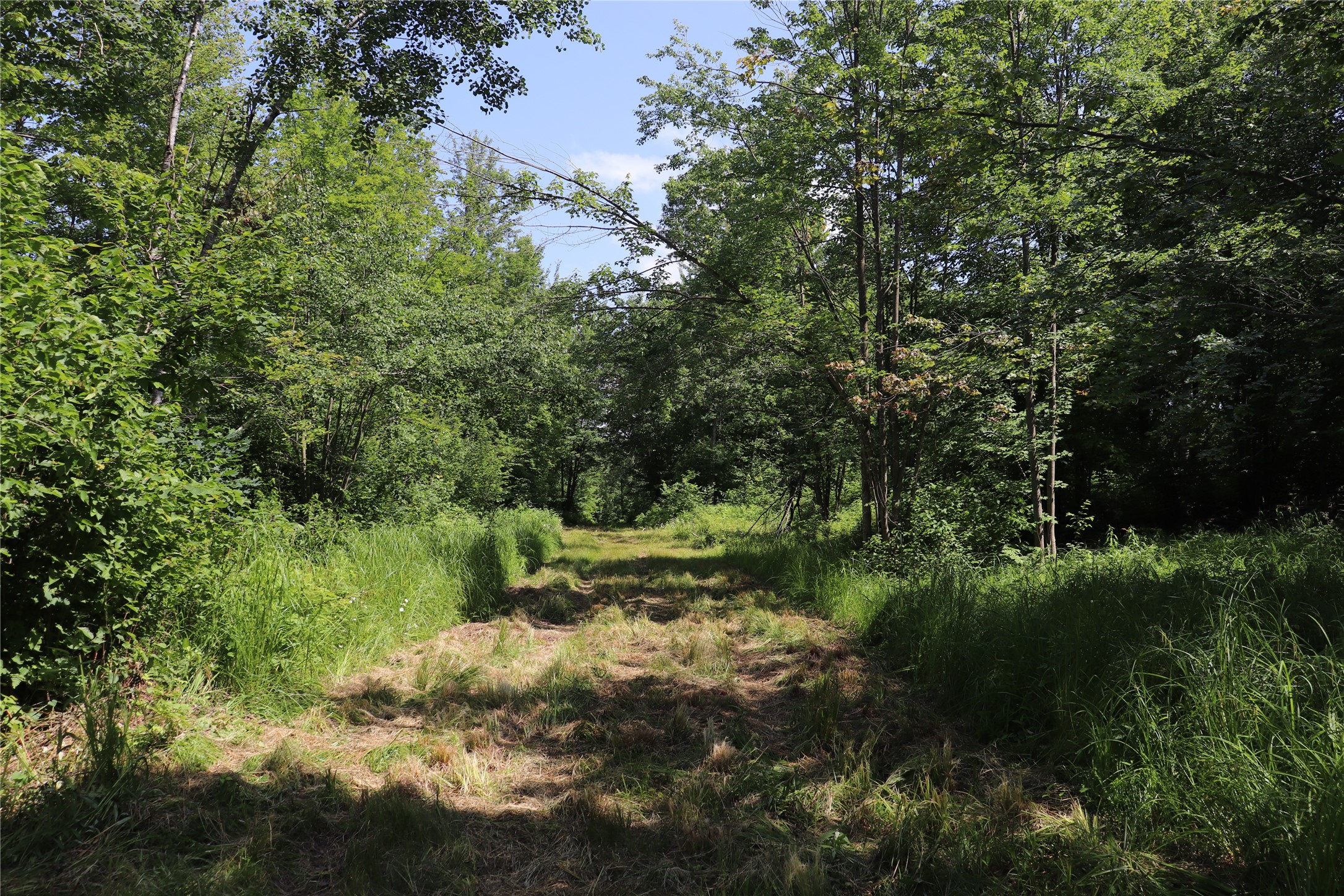 Property Photo #57