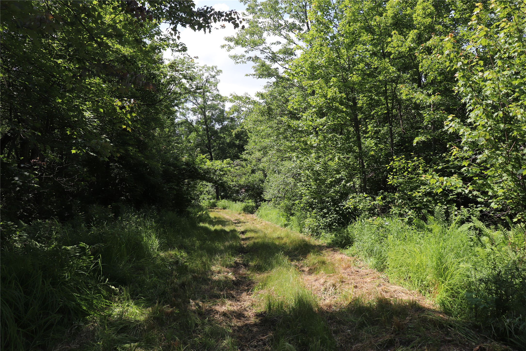 Property Photo #58
