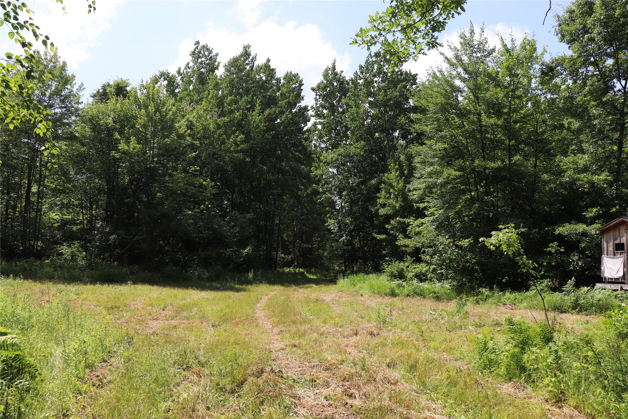 Property Photo #59