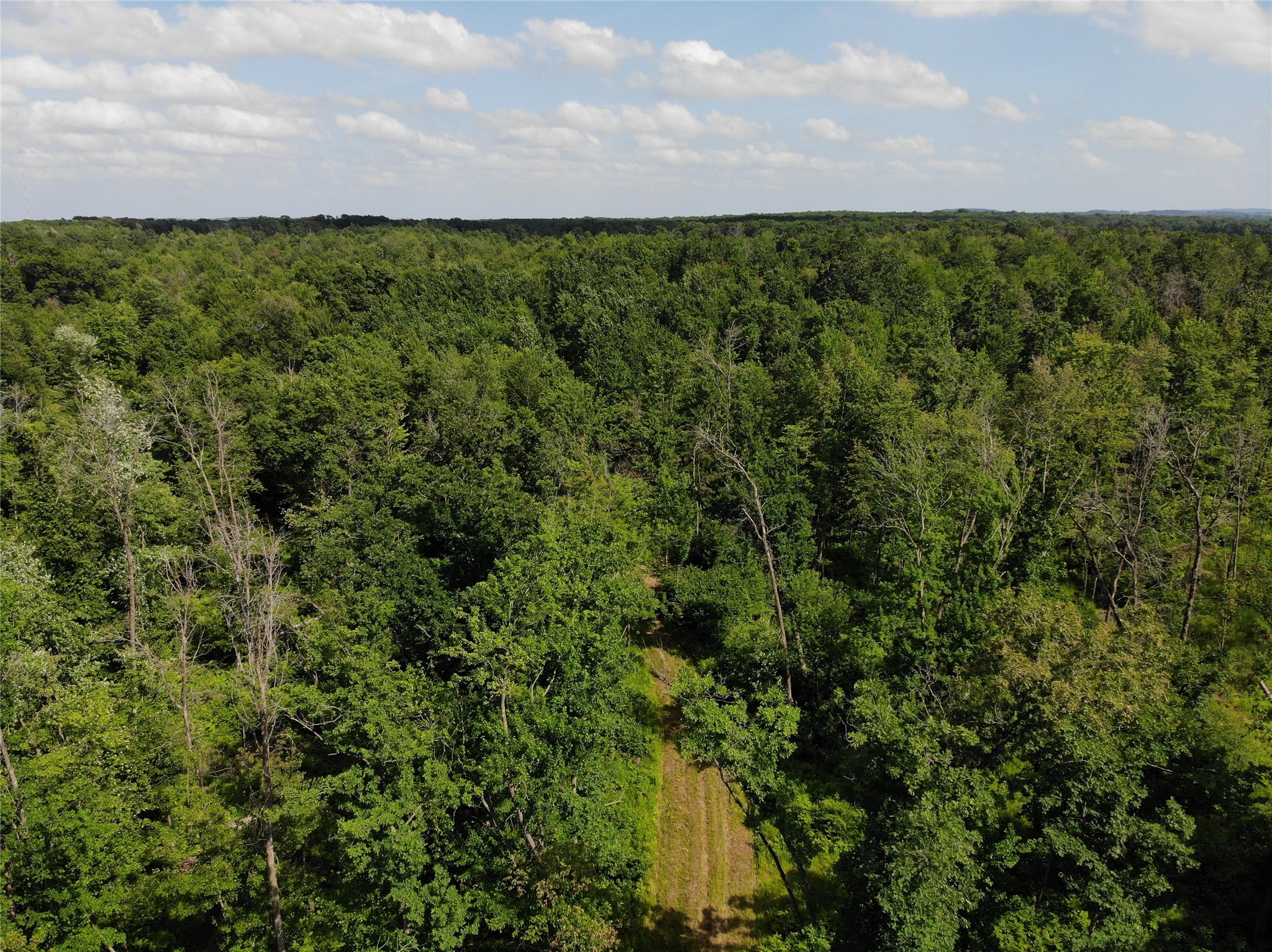 Property Photo #6