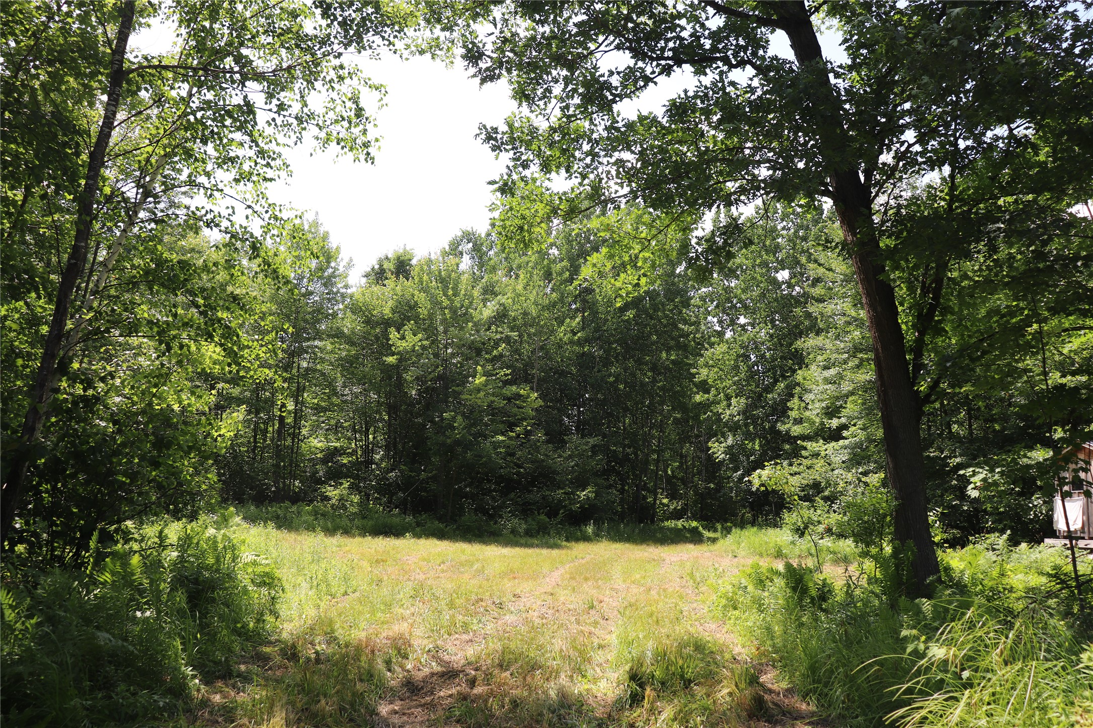 Property Photo #60