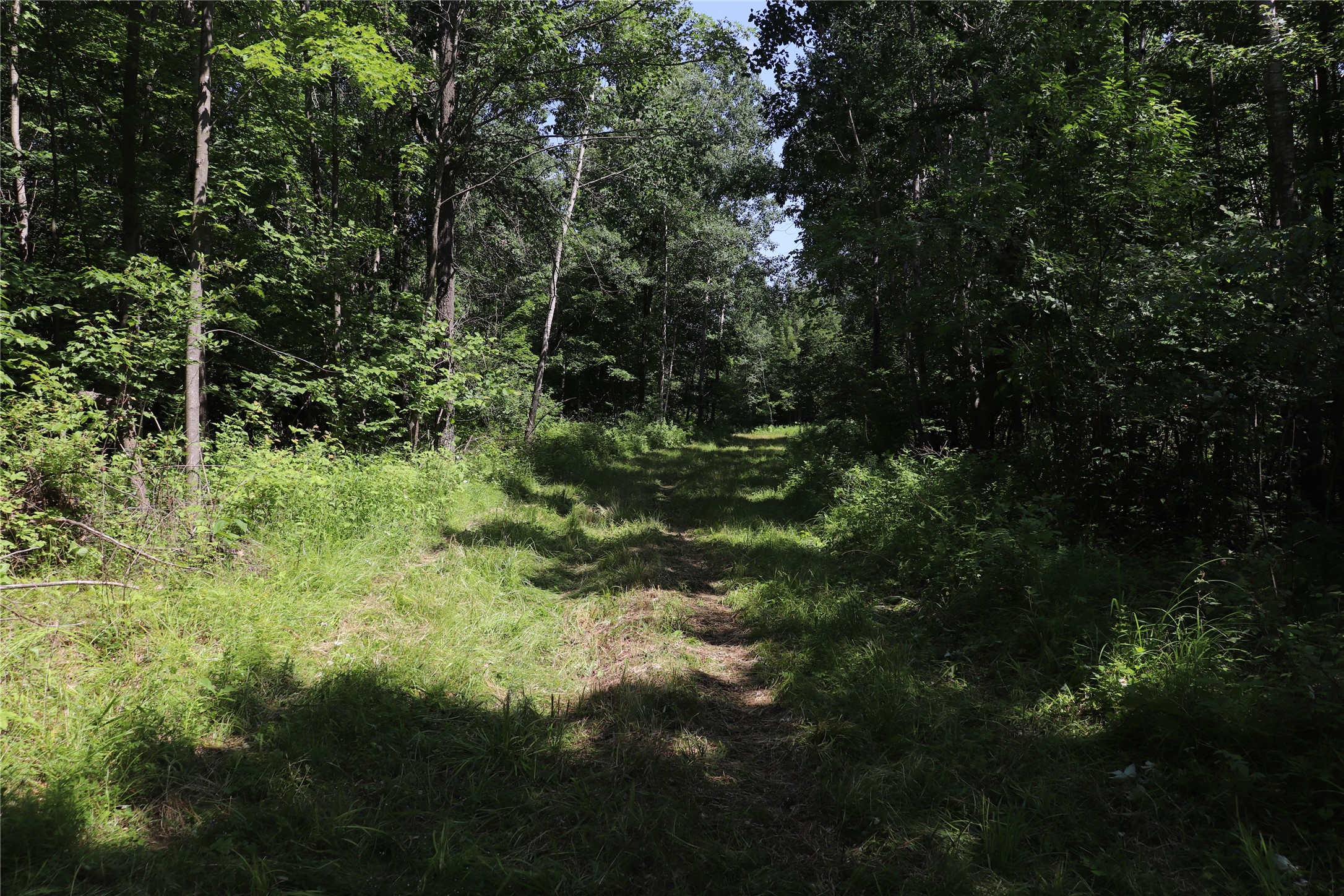 Property Photo #7