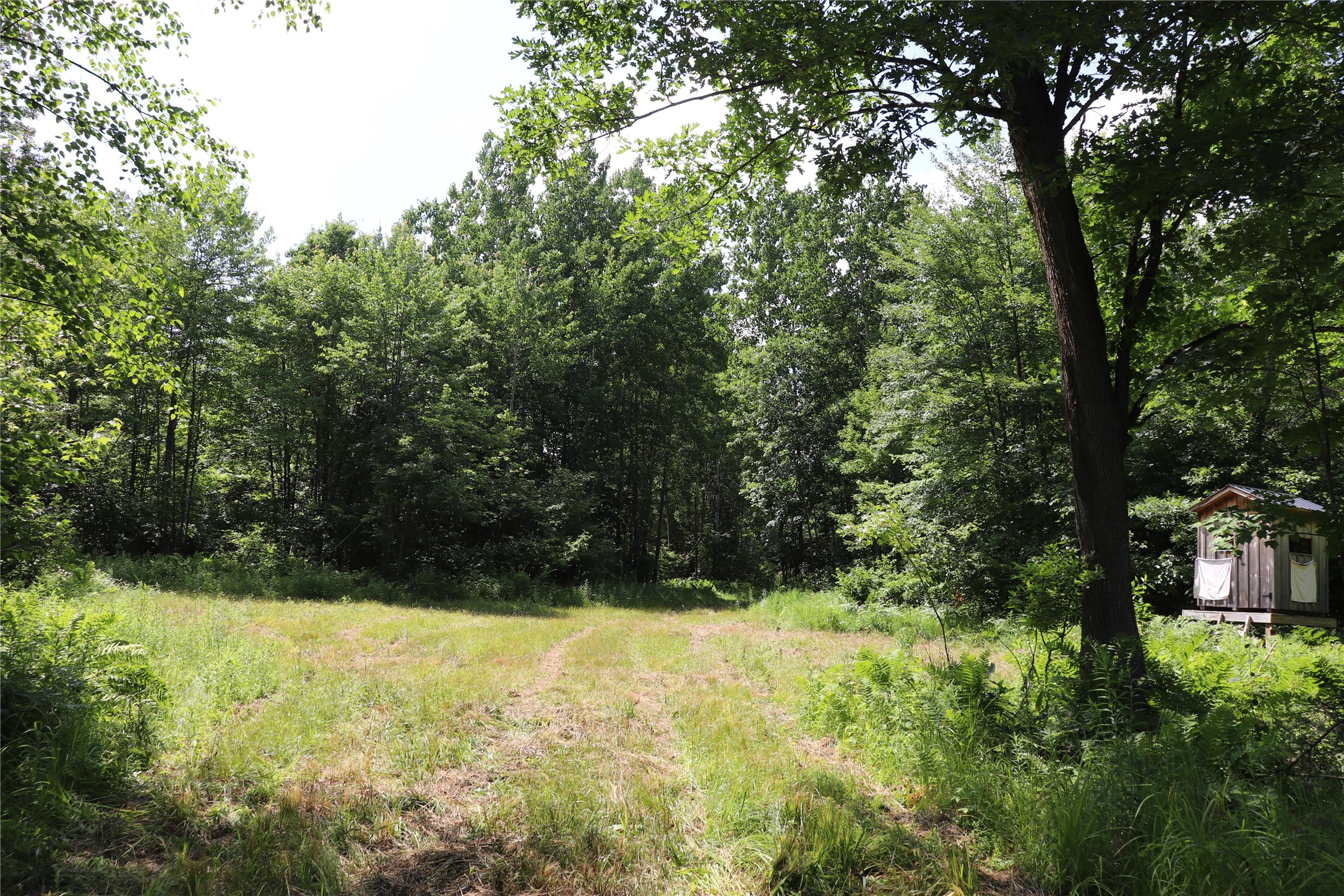 Property Photo #8