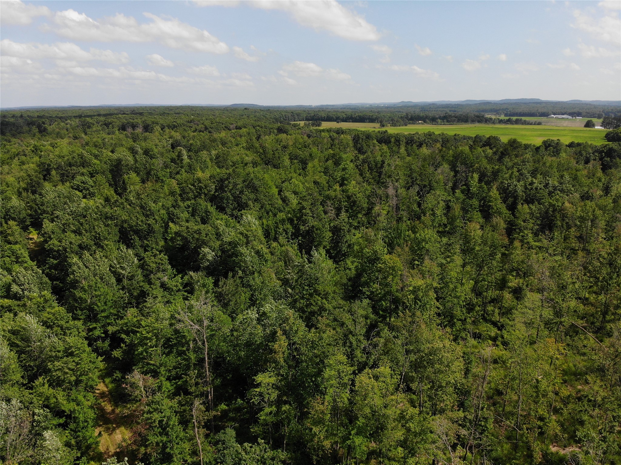 Property Photo #9