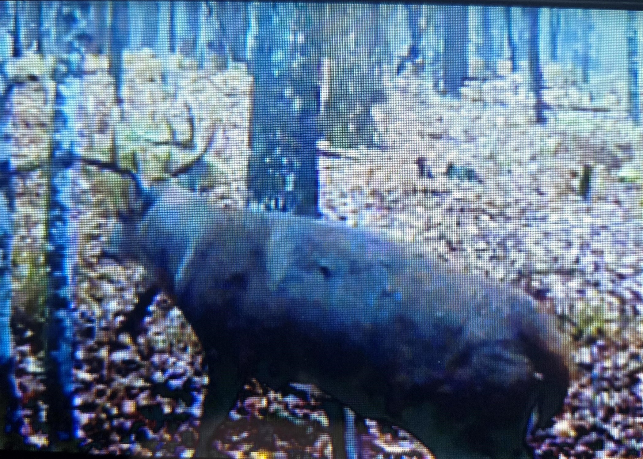 Thumbnail 45