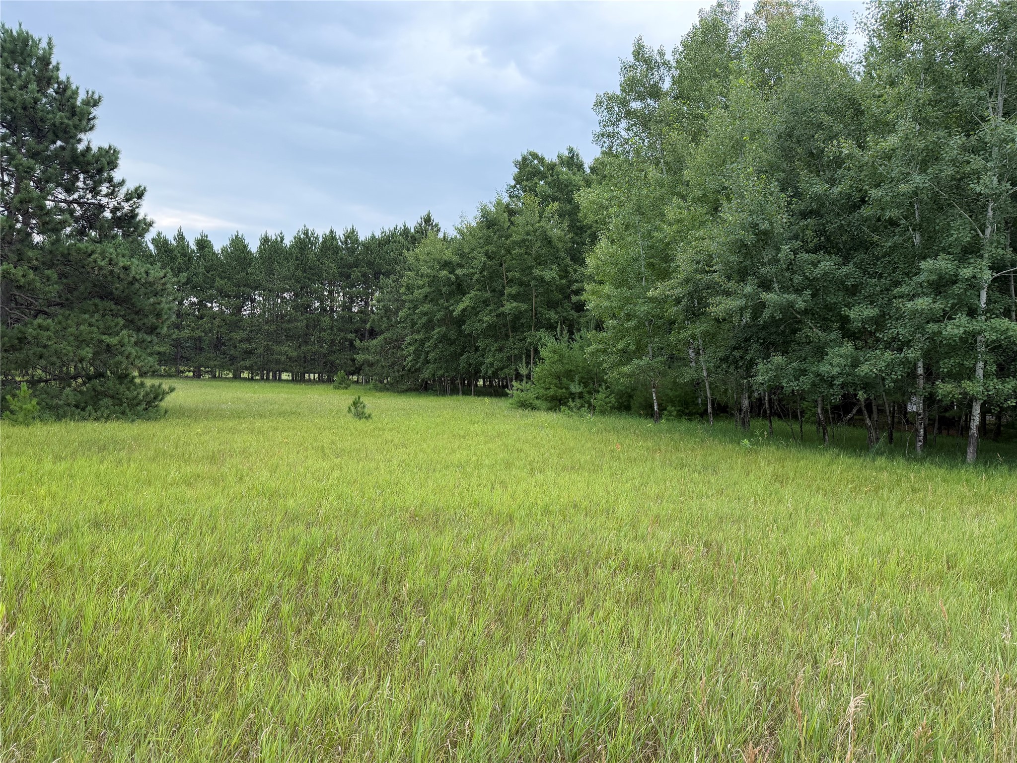 Property Photo #3
