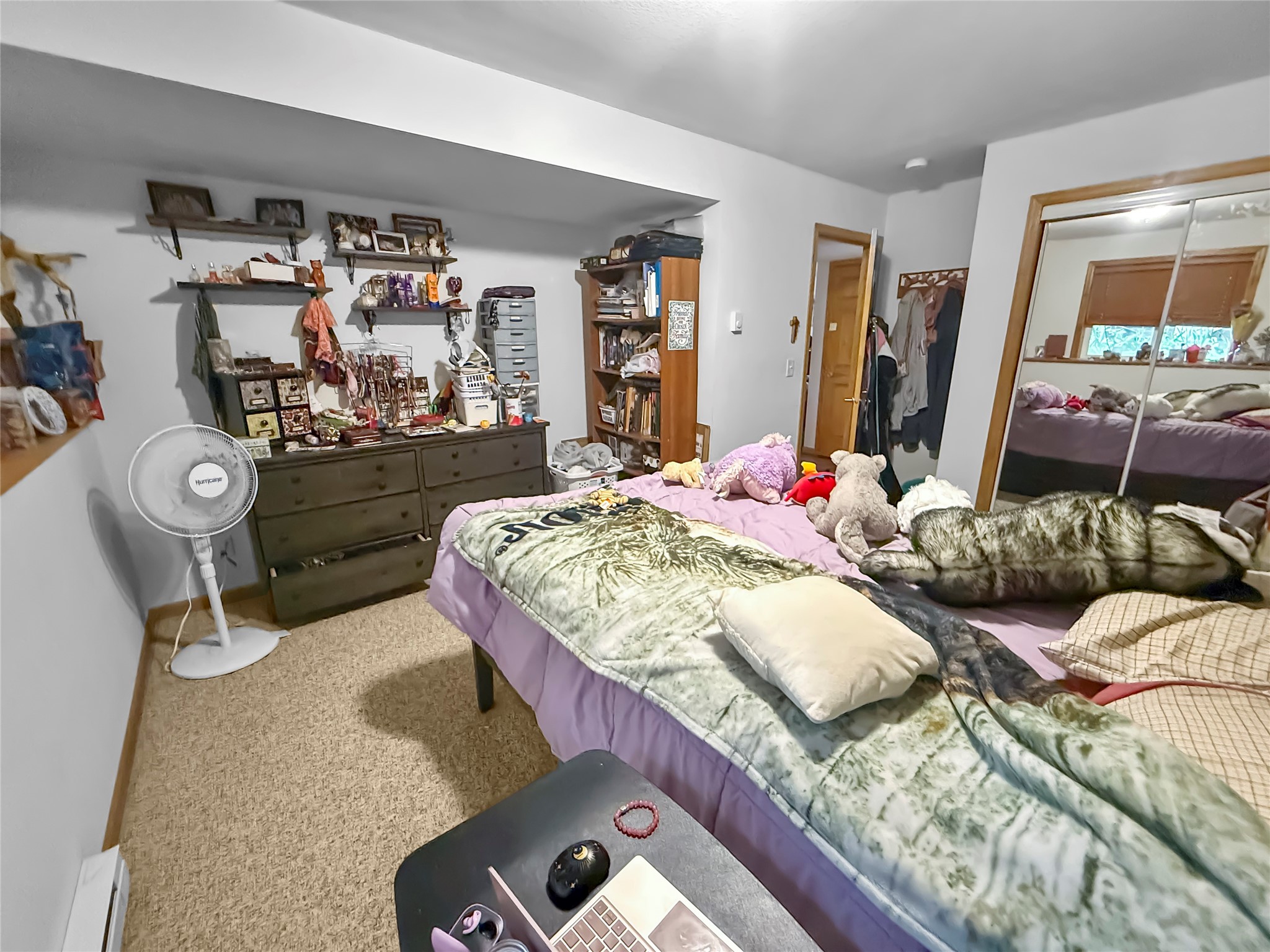 Photo 23