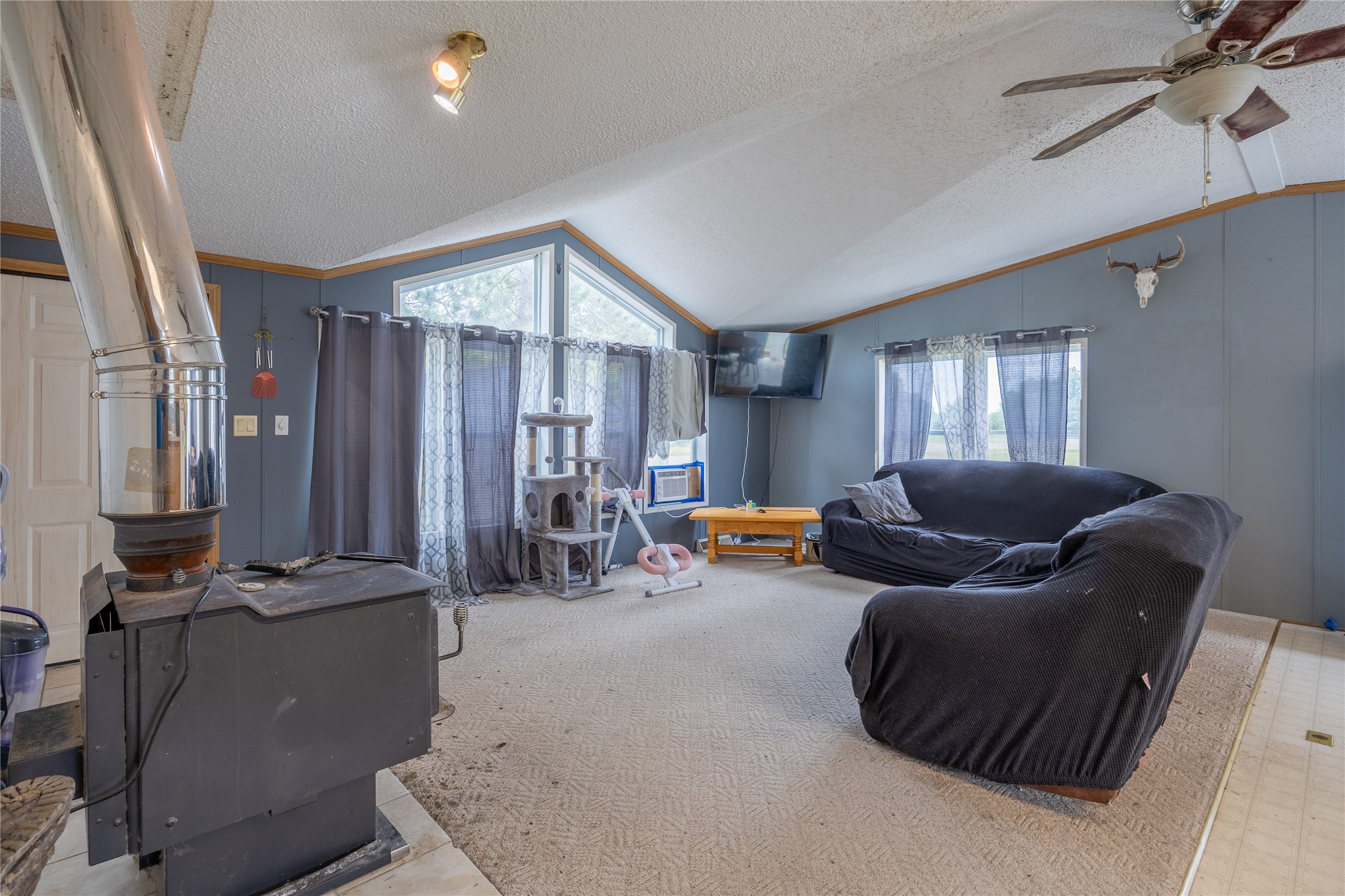 Property Photo #5