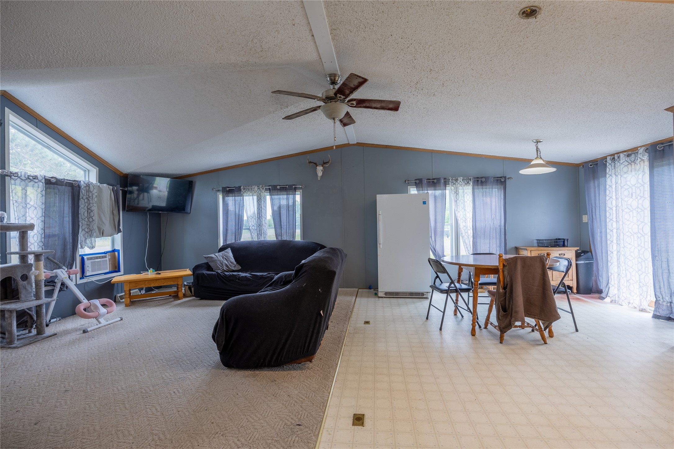 Property Photo #6