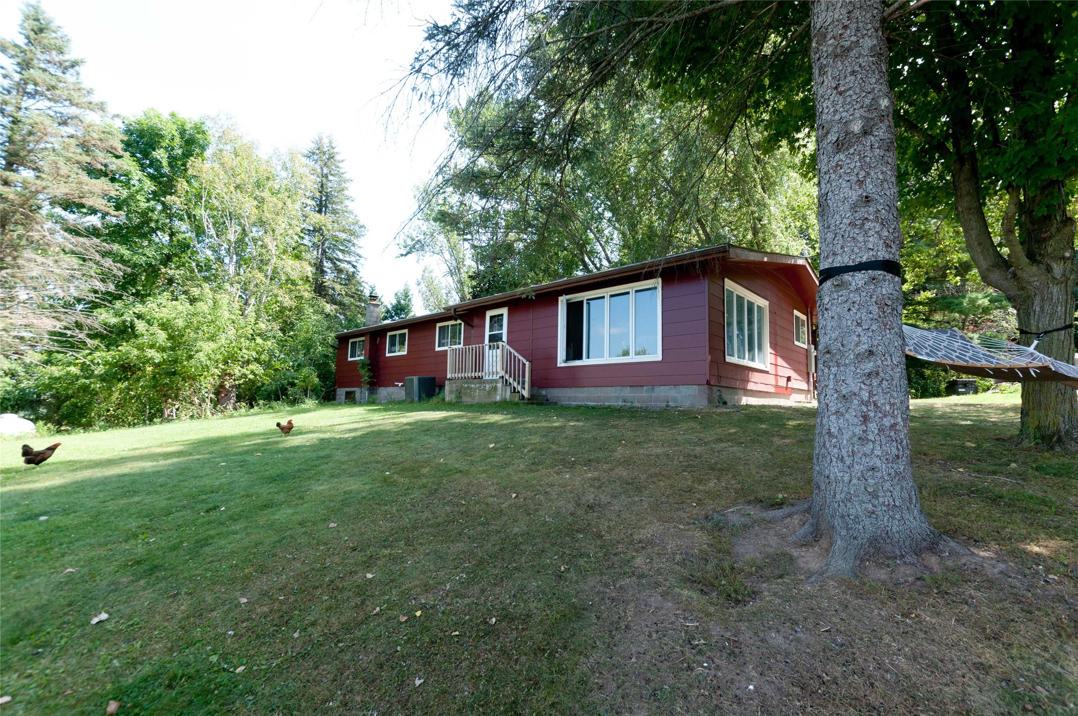 Rice Lake - Residential photo 6 of 45