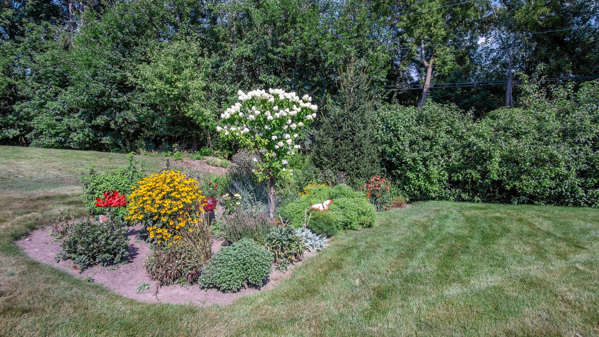 Photo 7