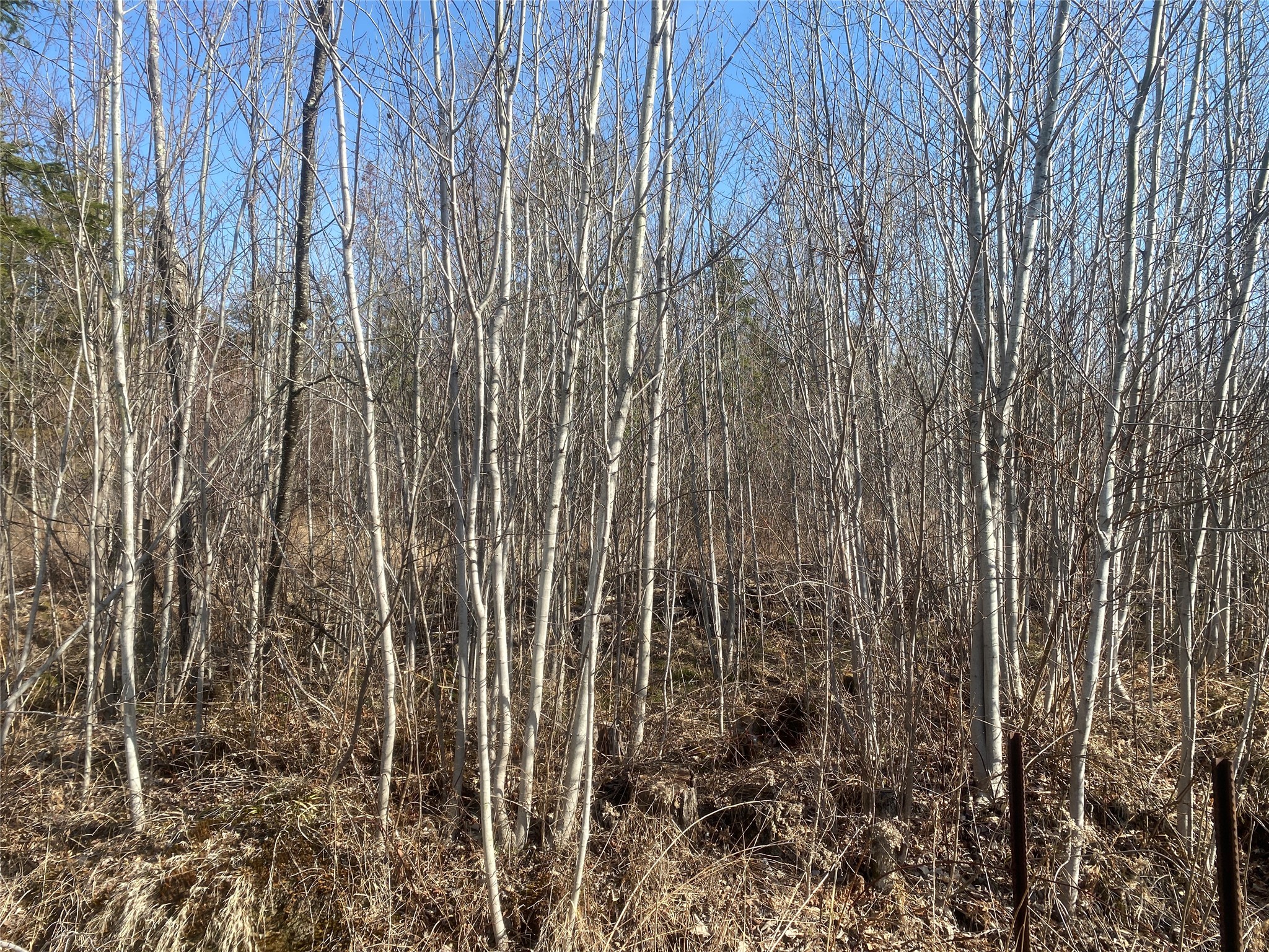 Solon Springs Land Real Estate