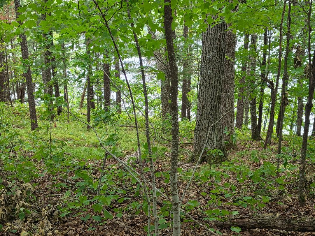 Cumberland Land Real Estate