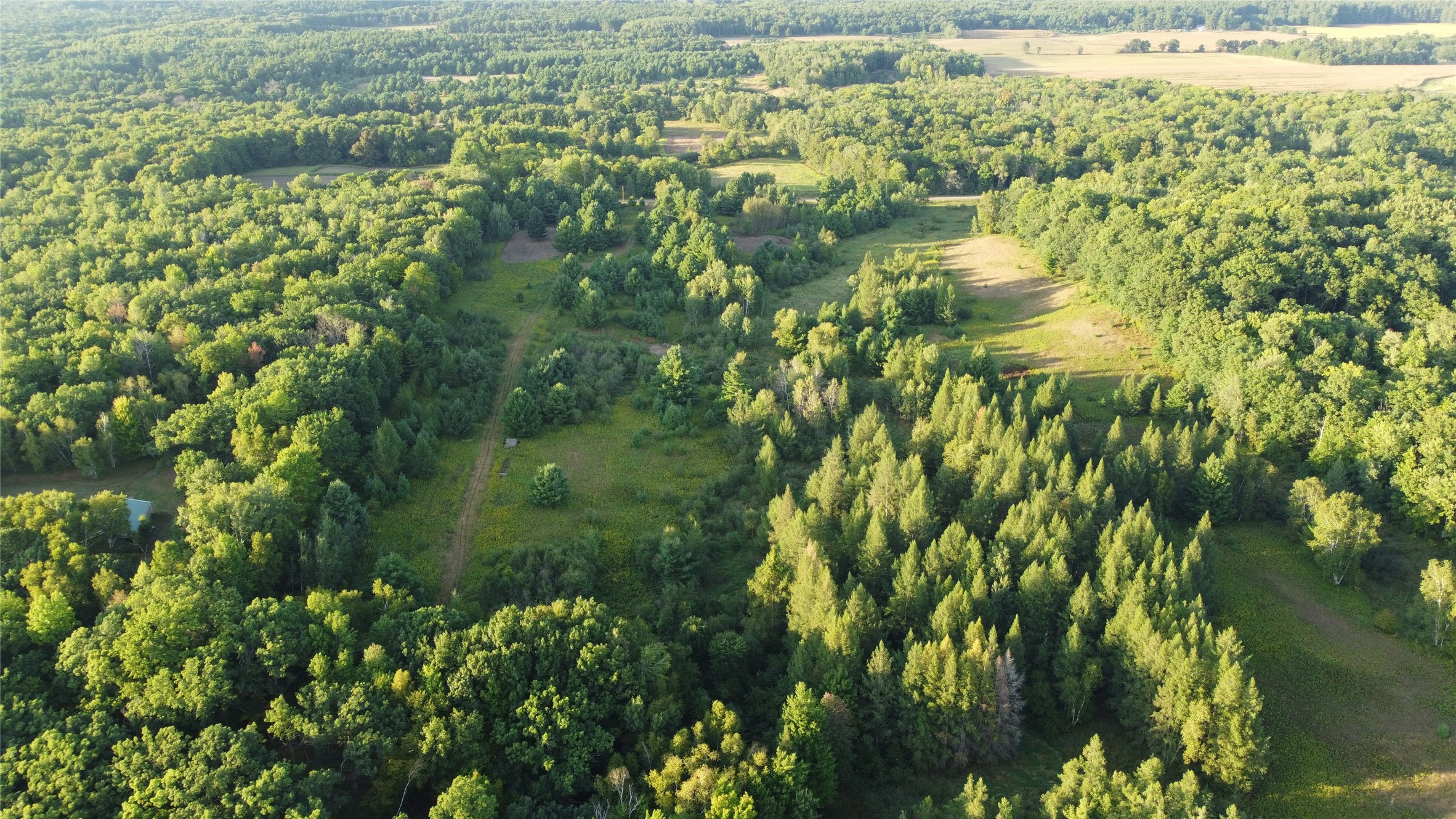 Lewis Land Real Estate