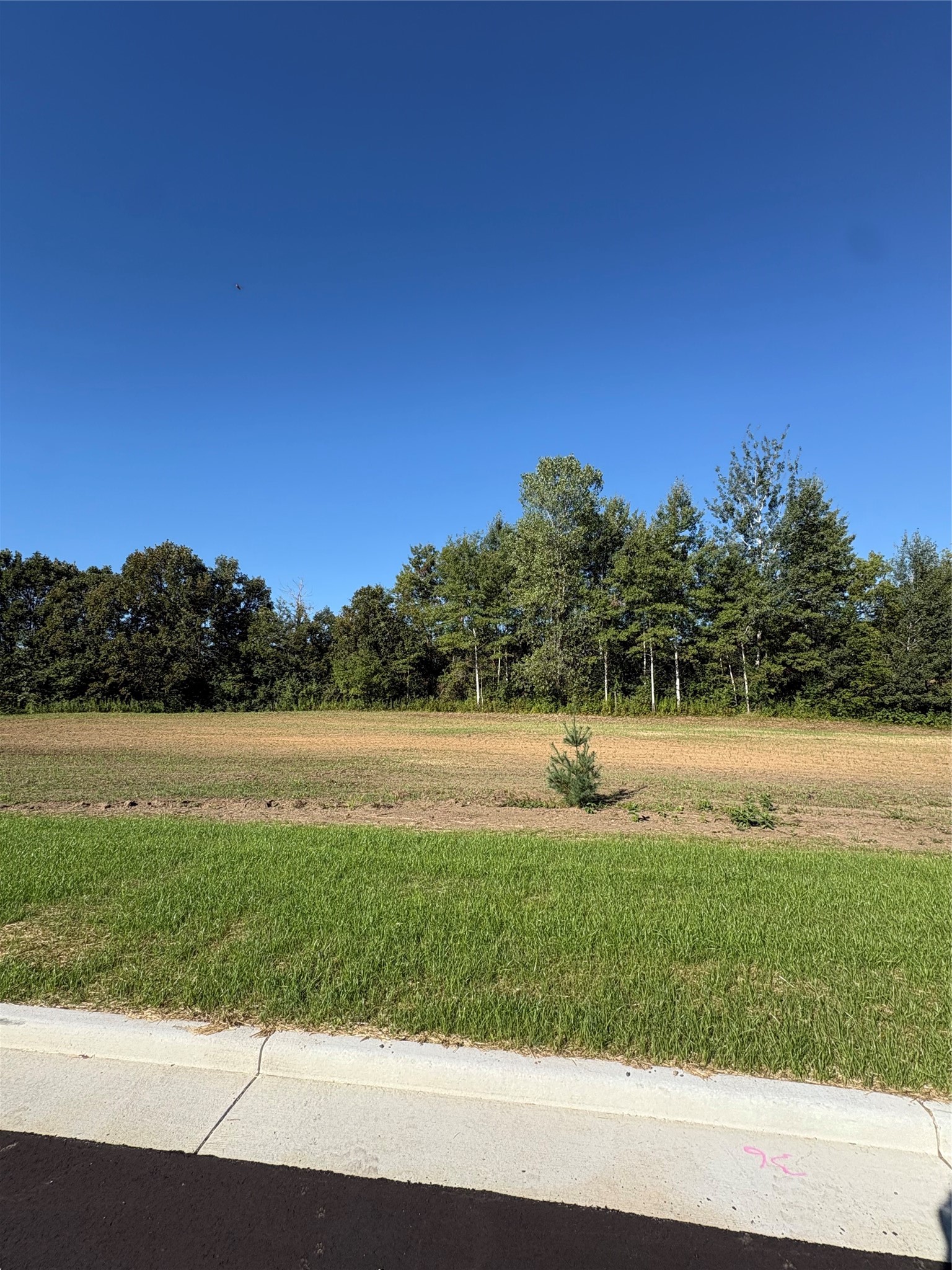 Osseo Land Real Estate