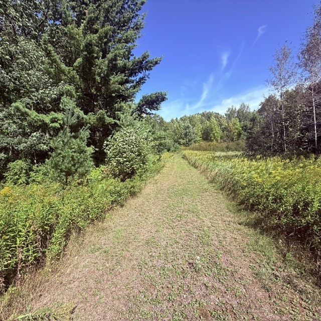 Shell Lake Land Real Estate