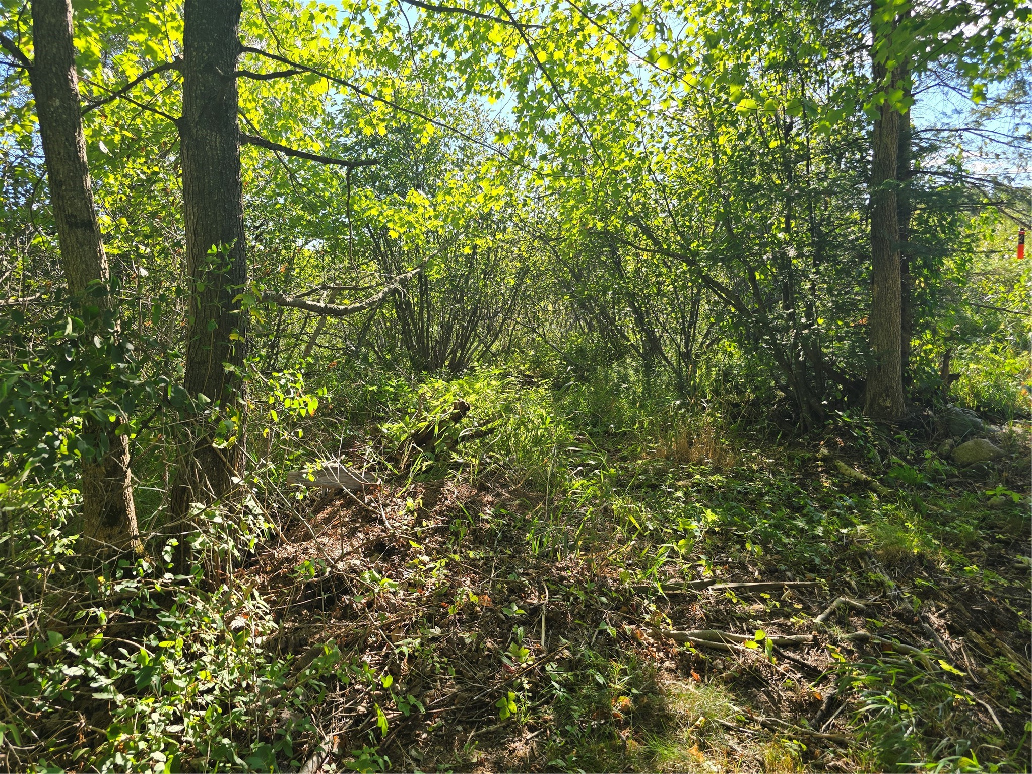 Property Photo #11