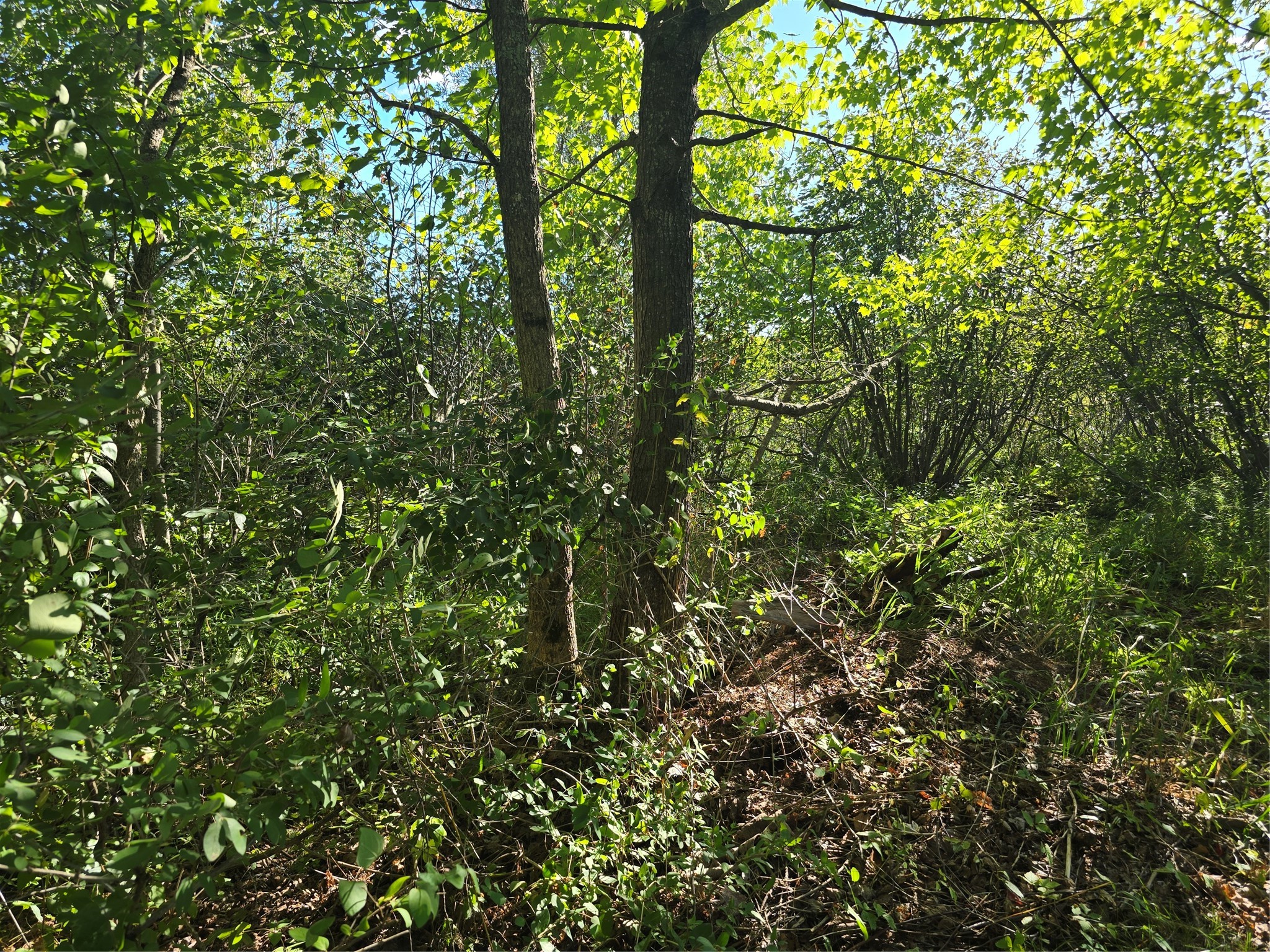 Property Photo #12
