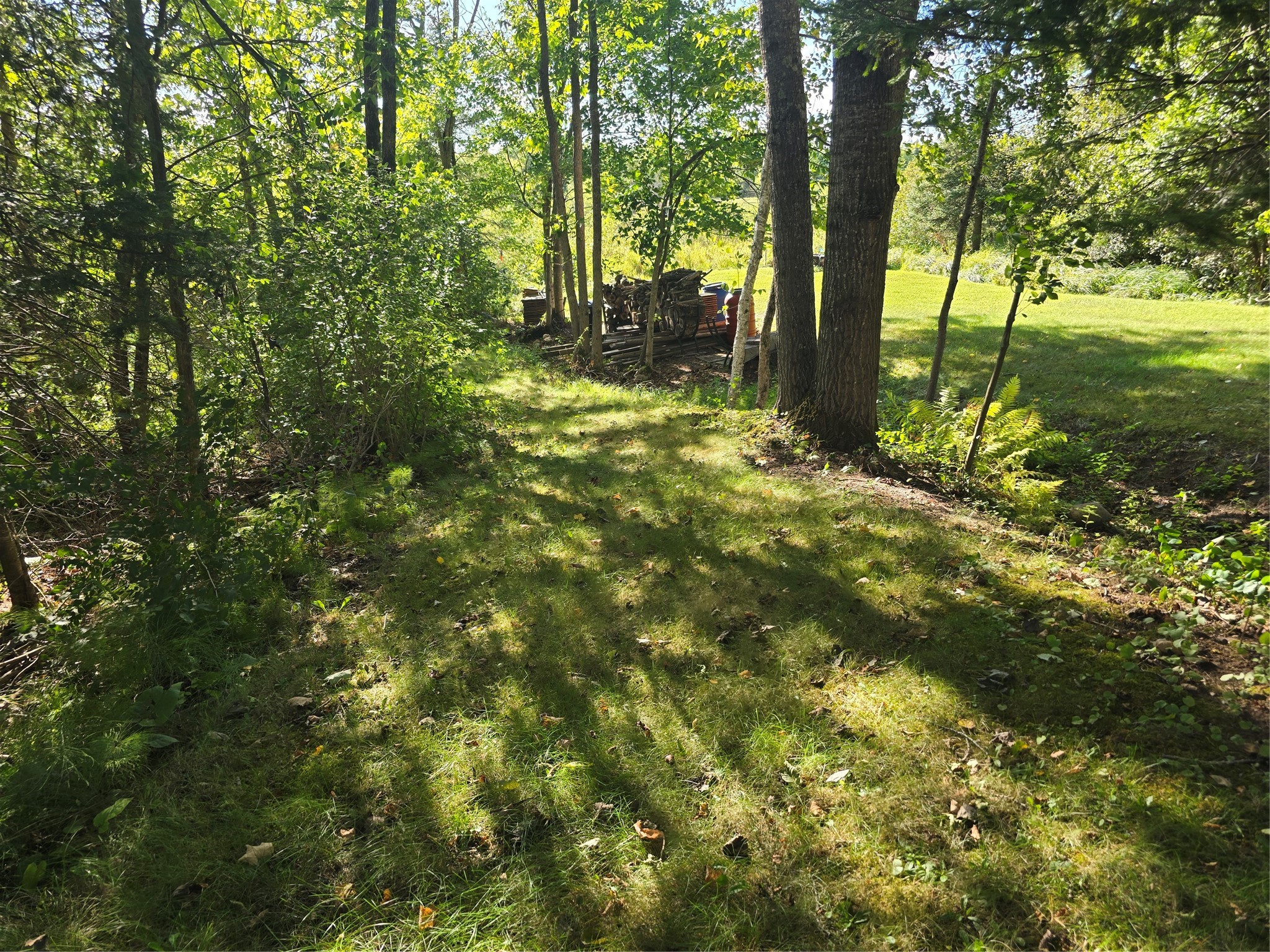 Property Photo #13