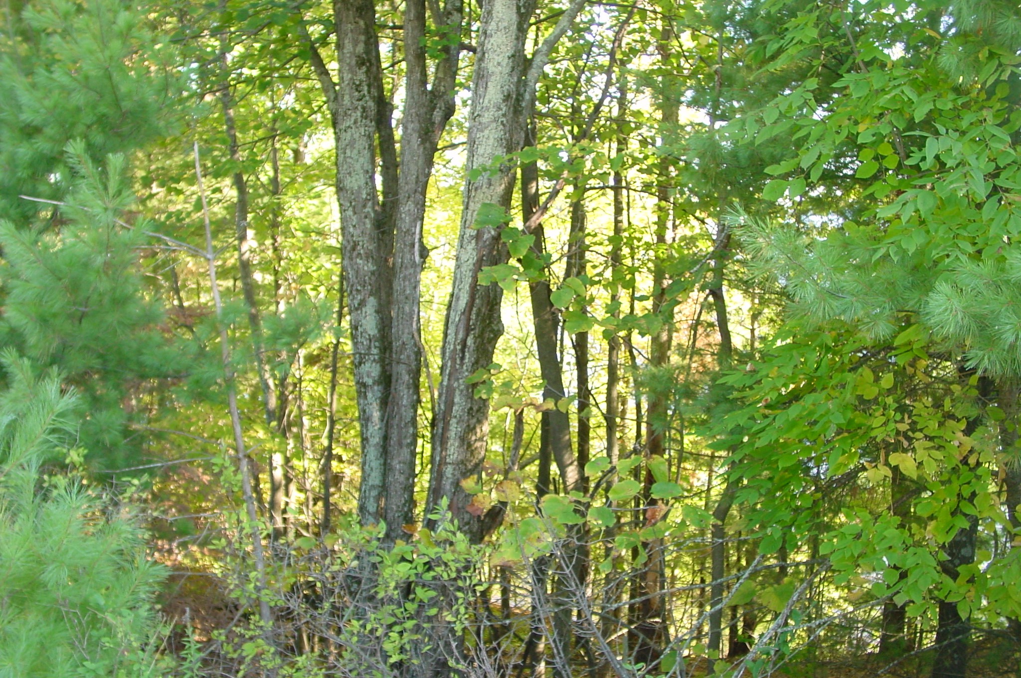 Property Photo #10