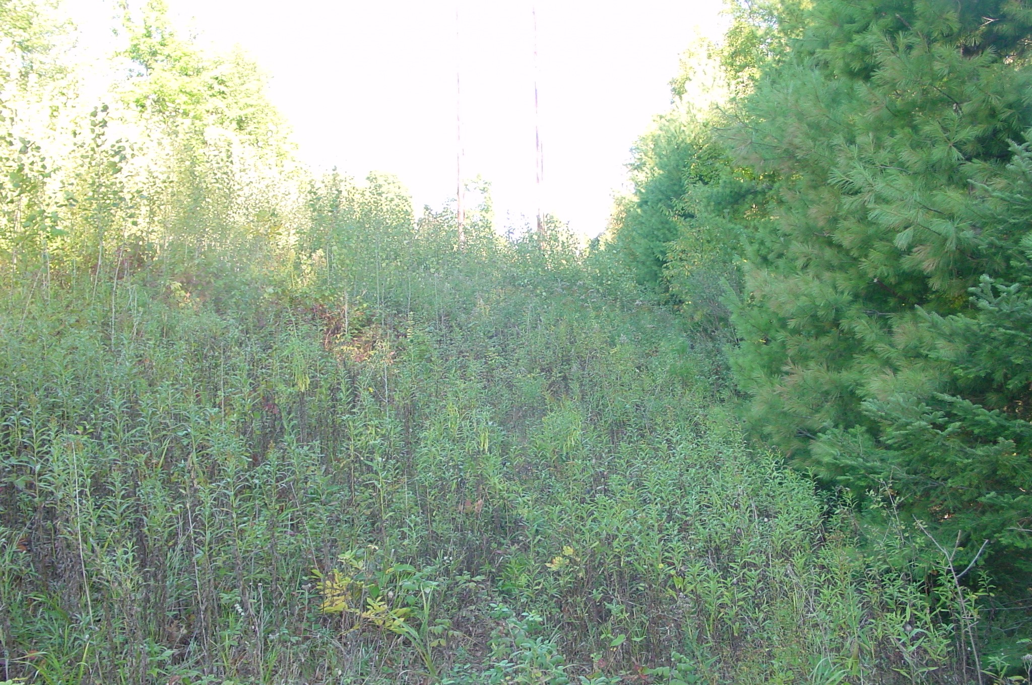 Property Photo #11