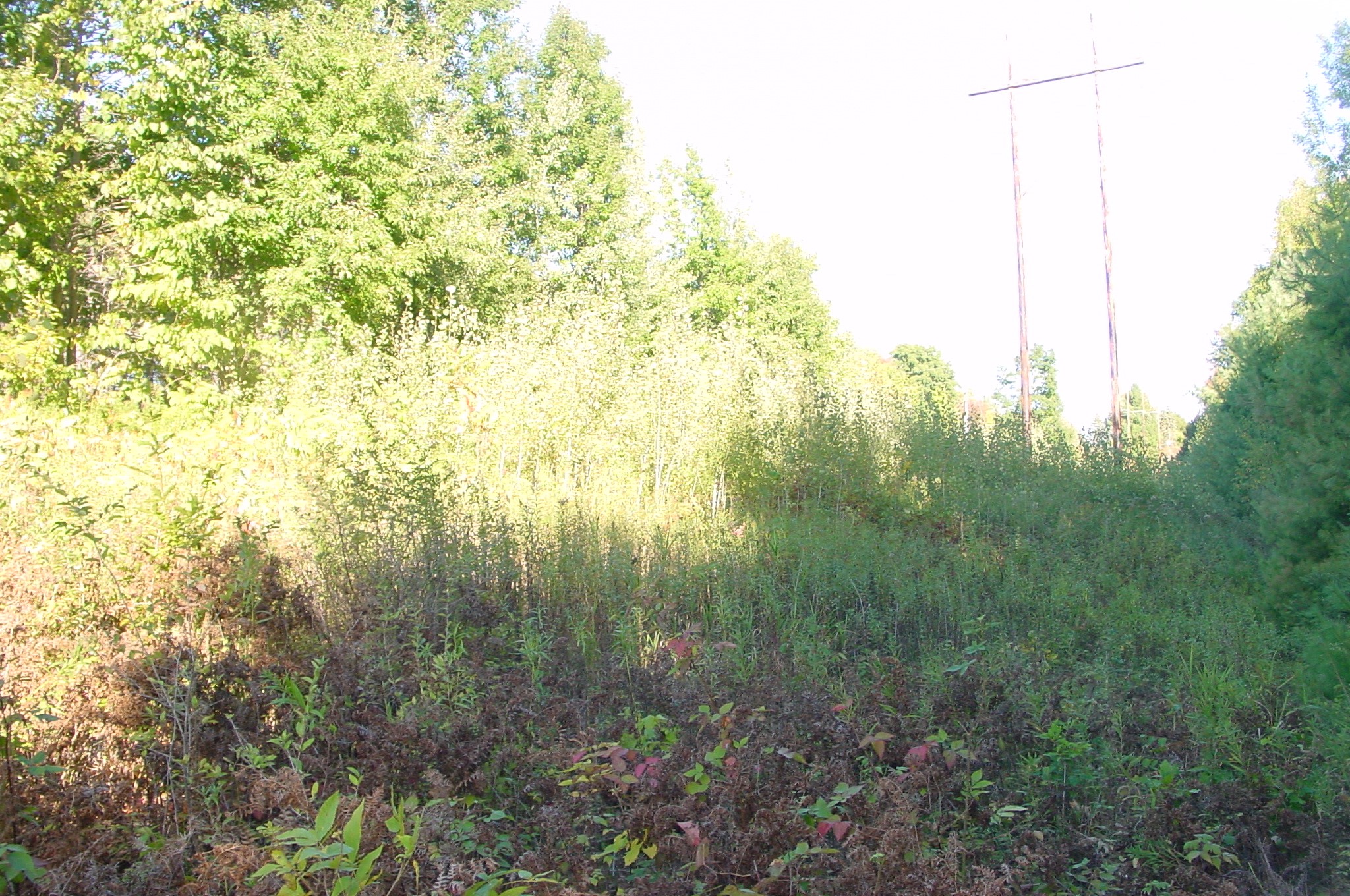 Property Photo #12