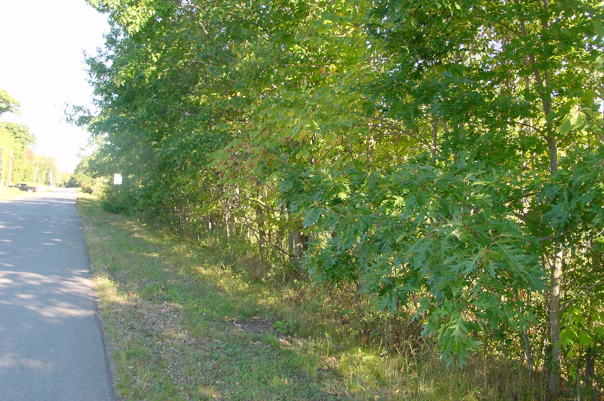 Property Photo #13