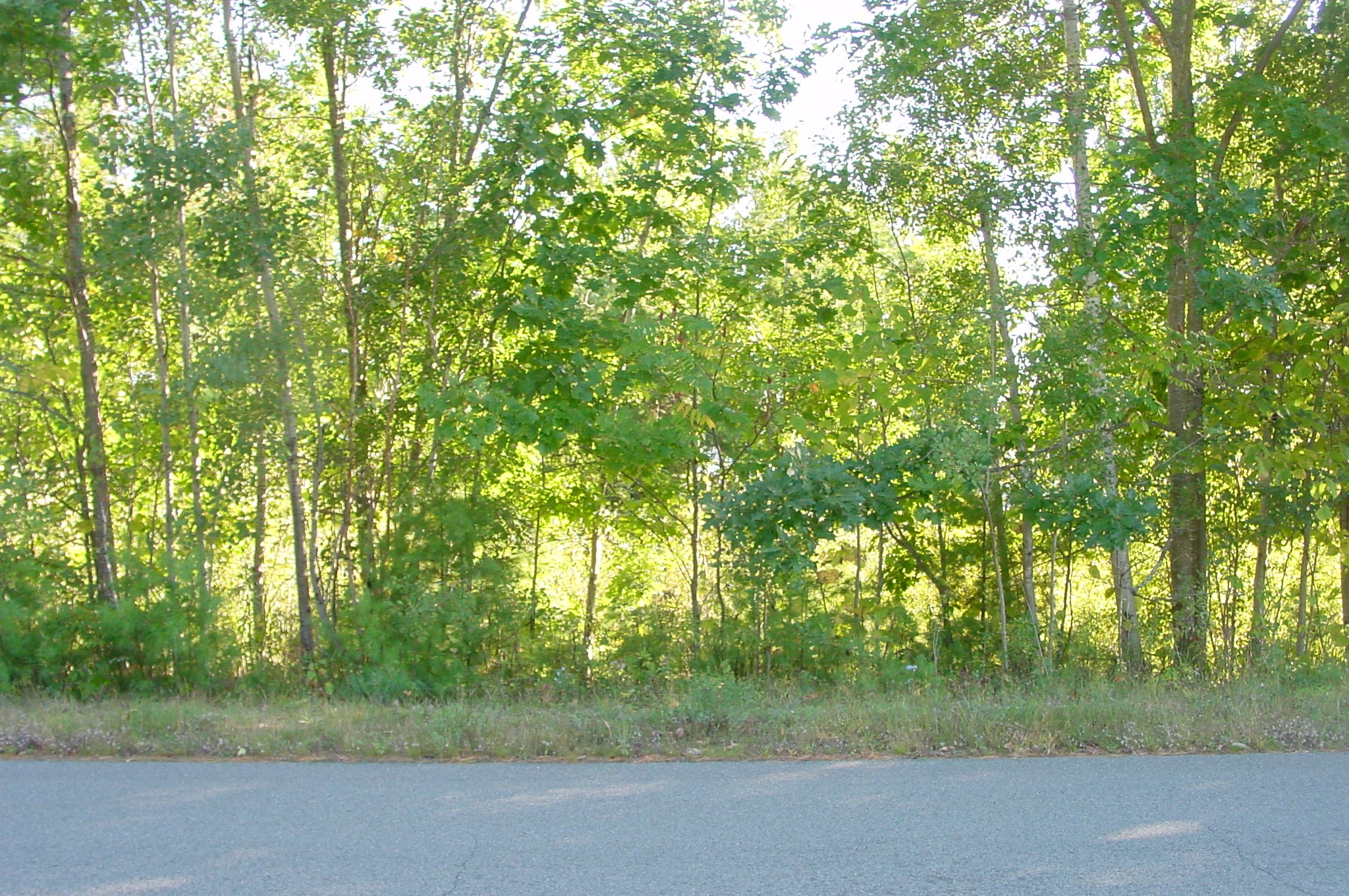 Property Photo #14