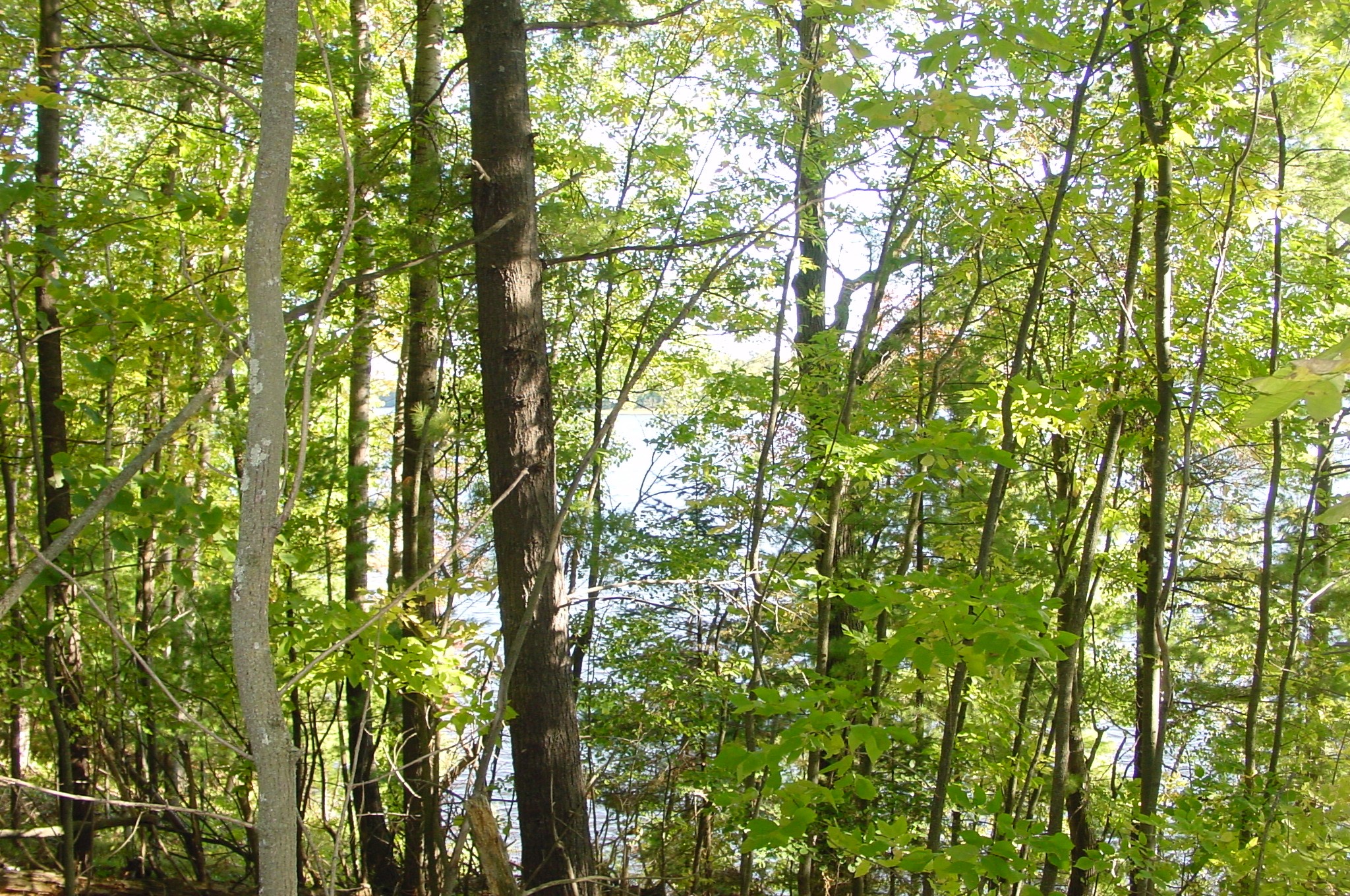 Property Photo #15