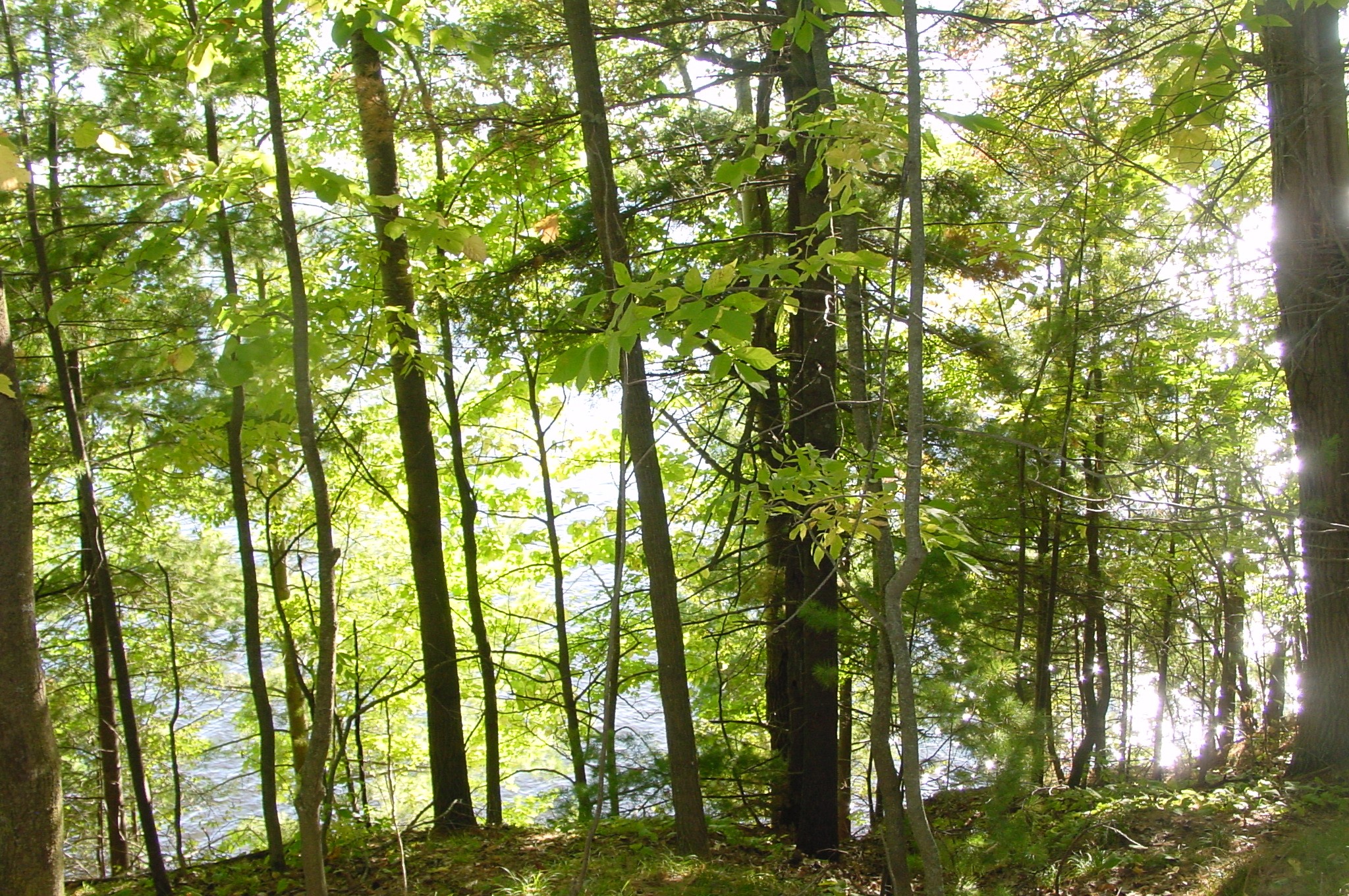 Property Photo #16