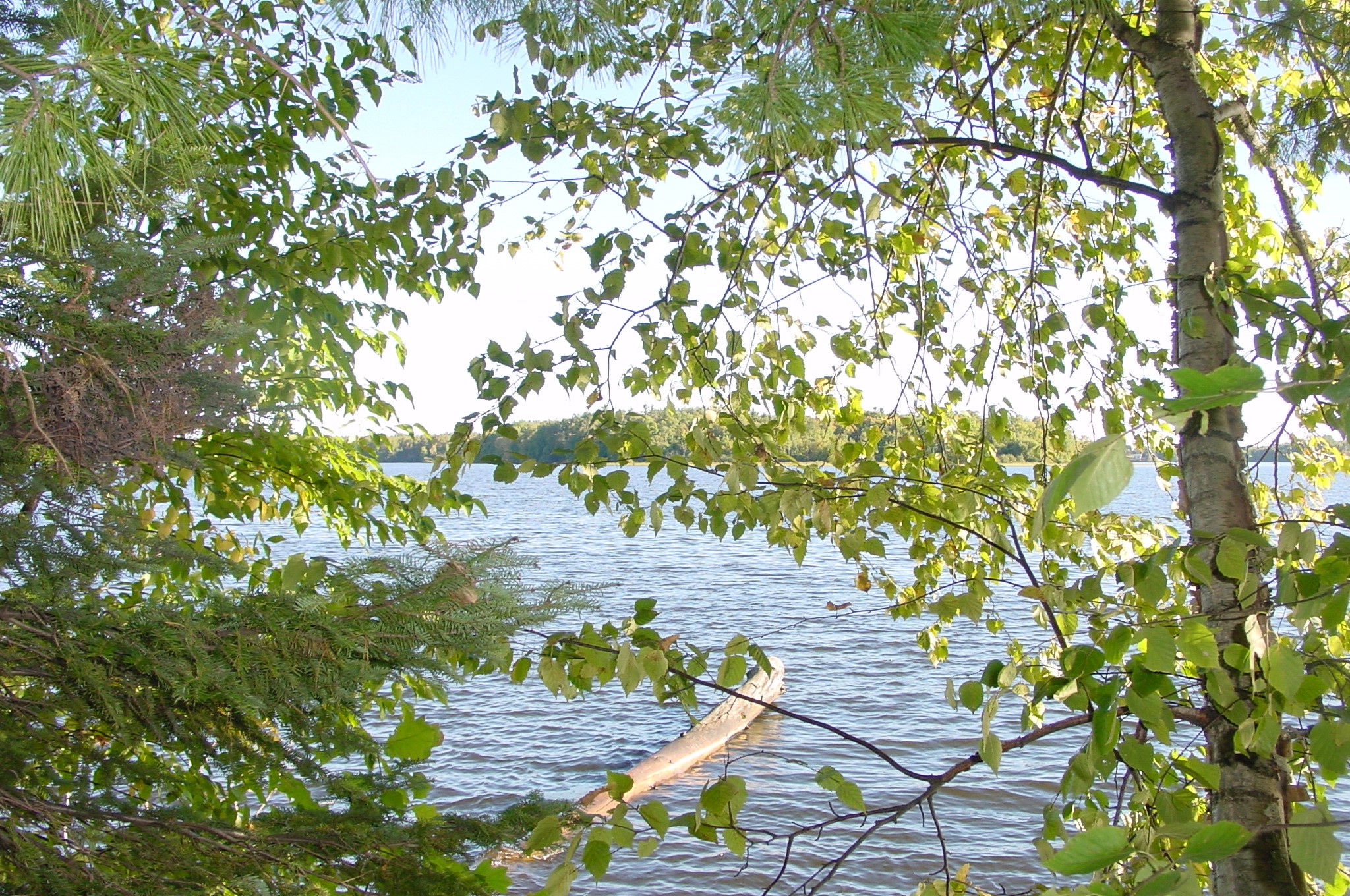 Property Photo #2