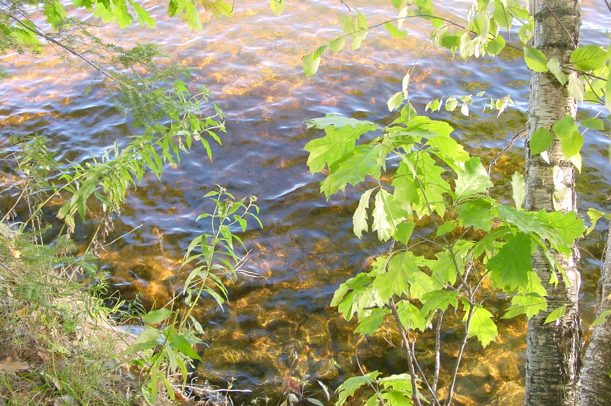 Property Photo #3