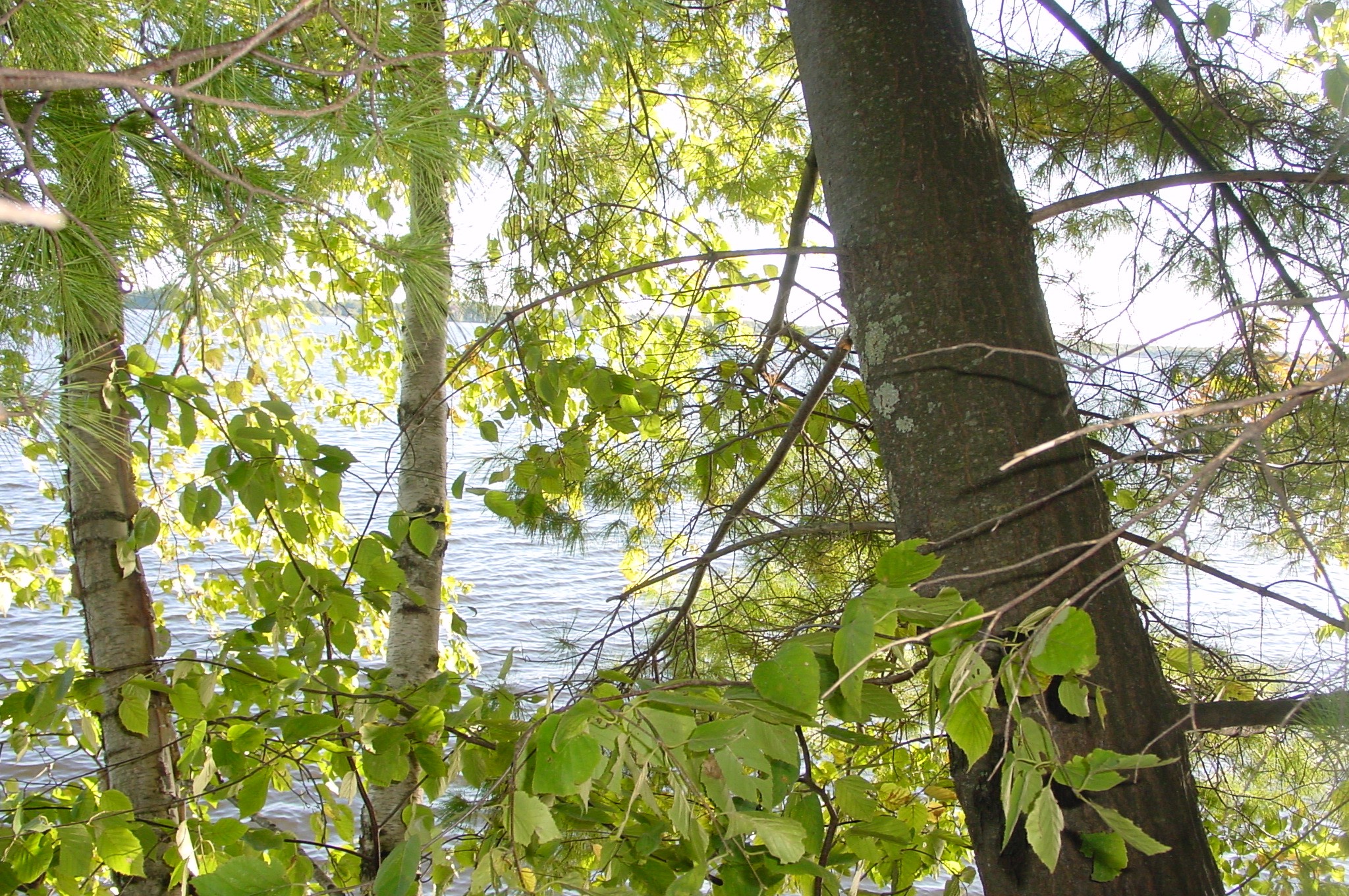 Property Photo #4
