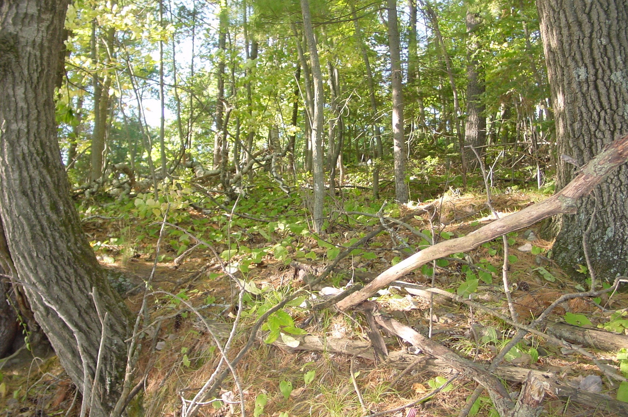 Property Photo #5