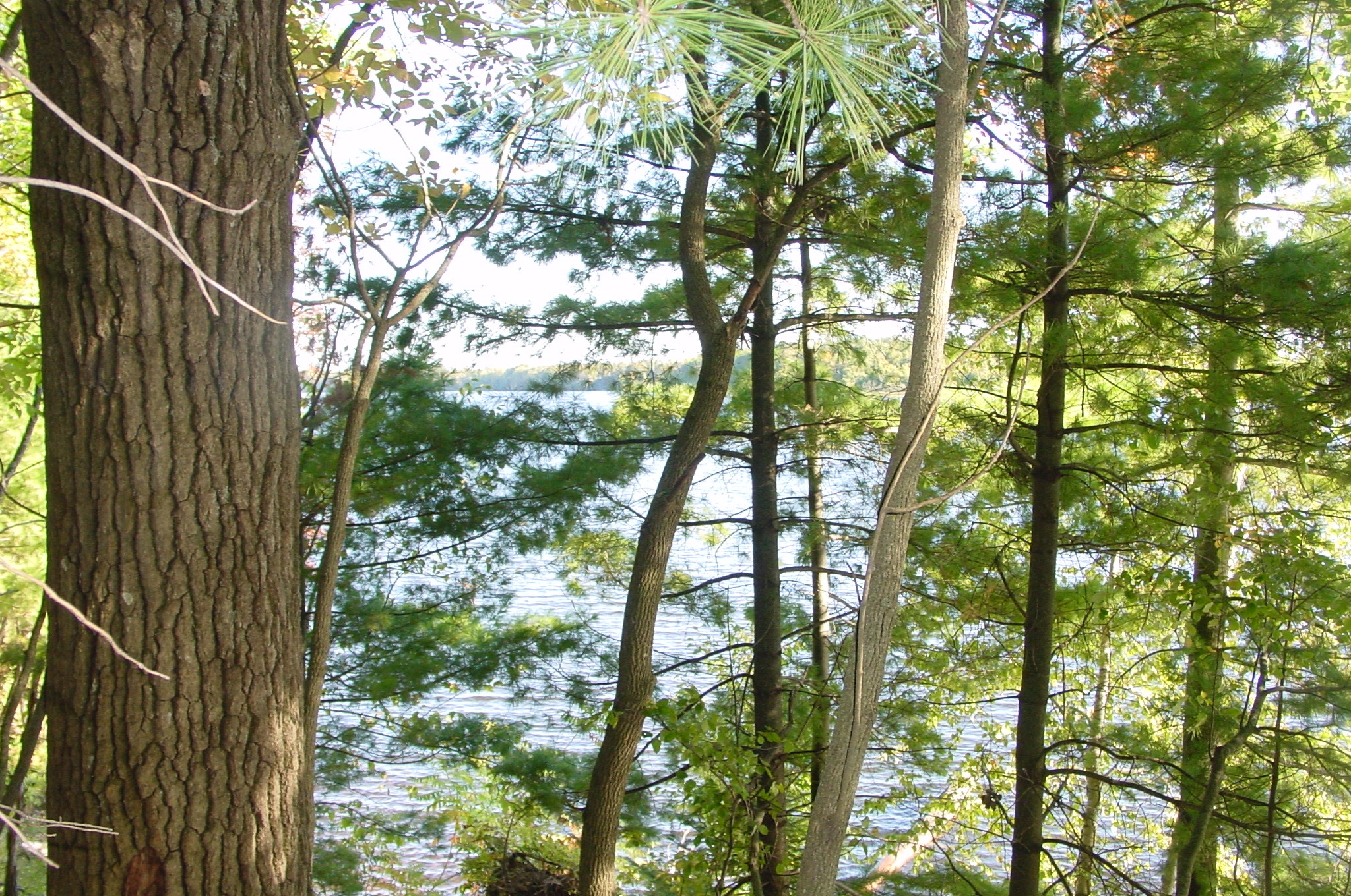 Property Photo #6