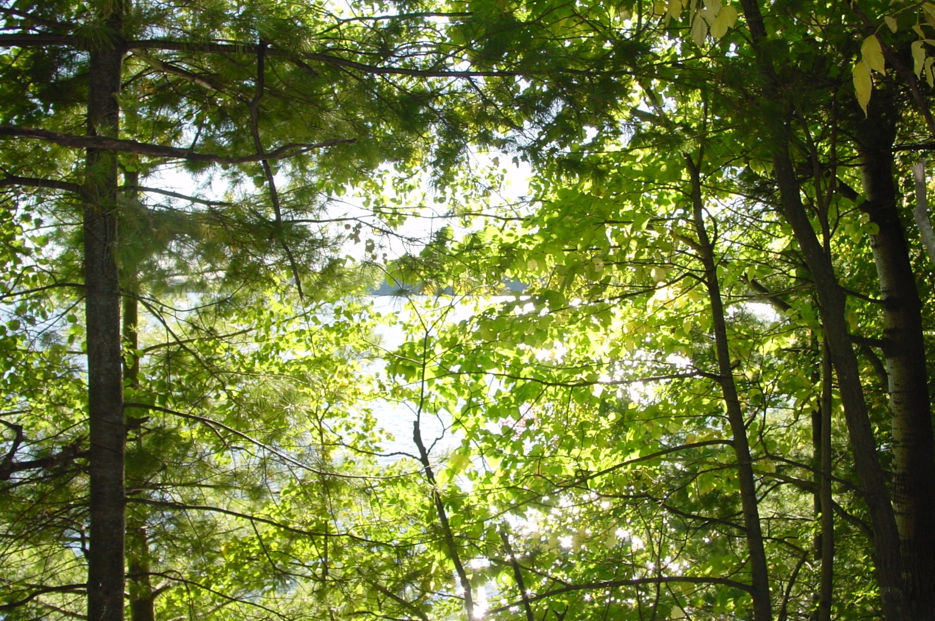 Property Photo #7