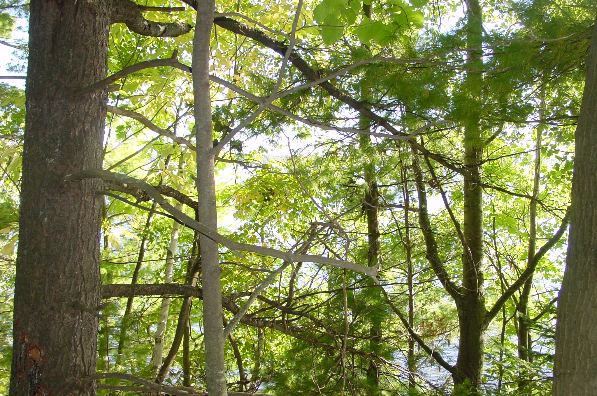 Property Photo #8