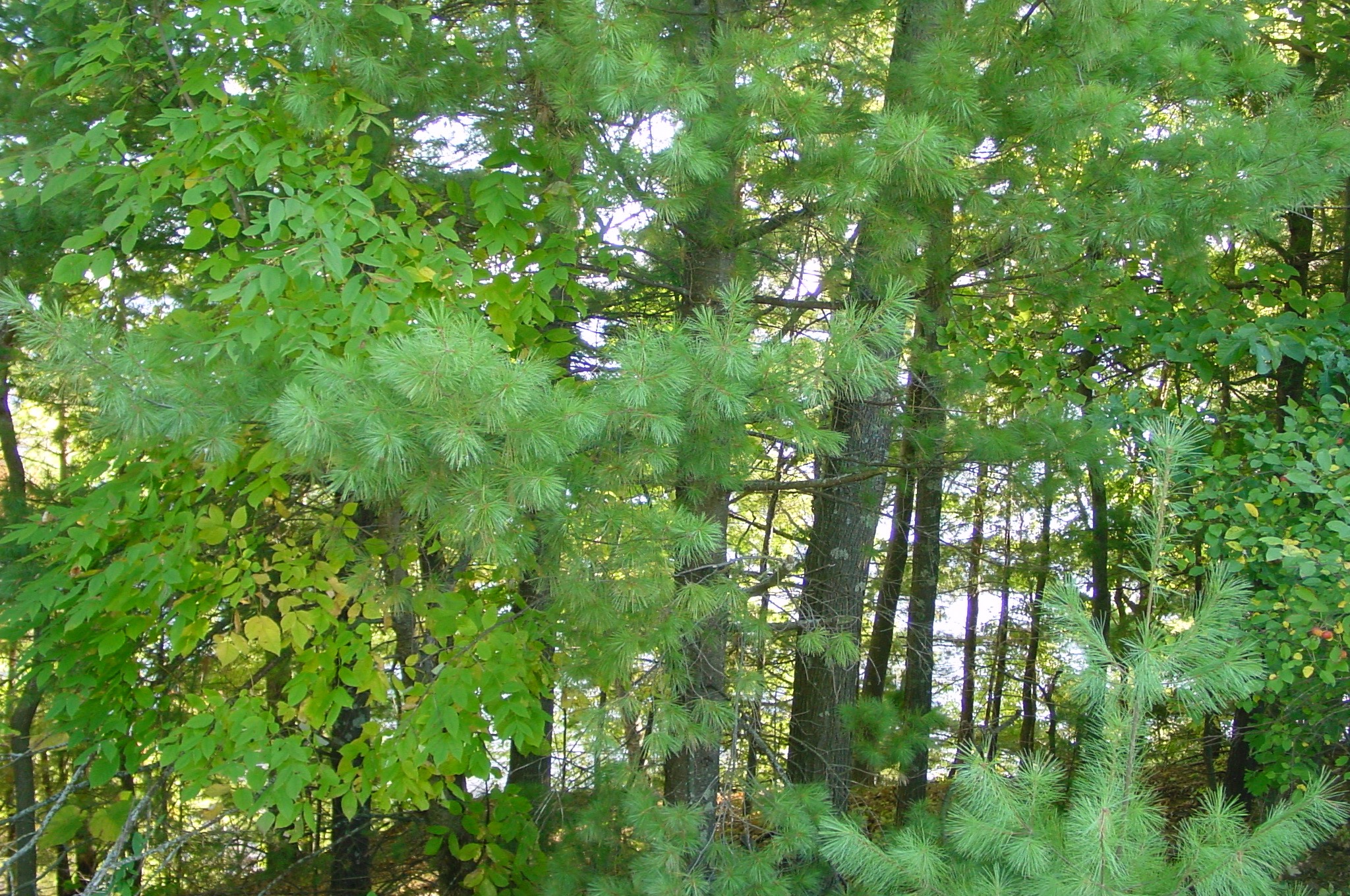 Property Photo #9