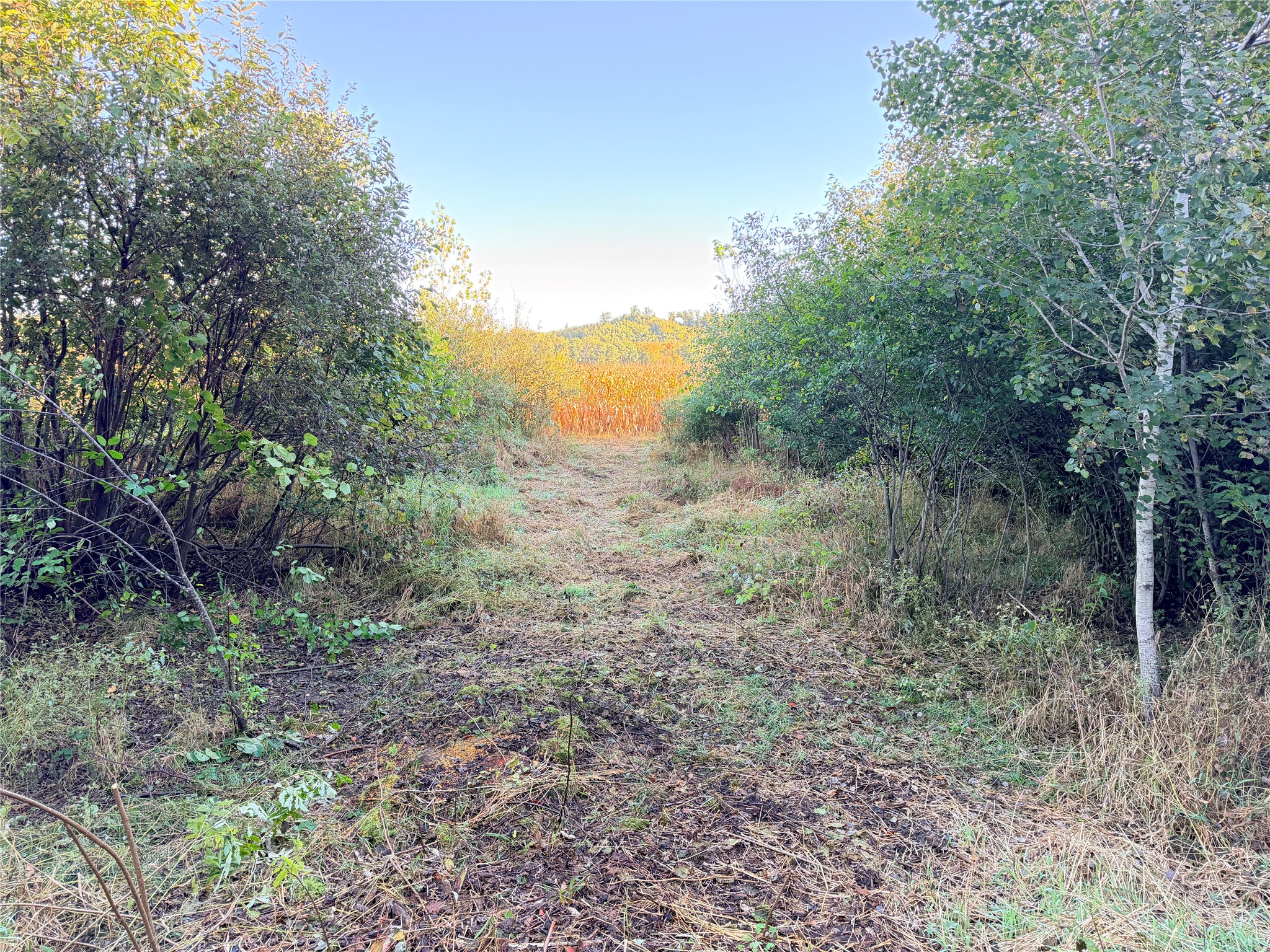 Chippewa Falls - Land photo 2 of 9