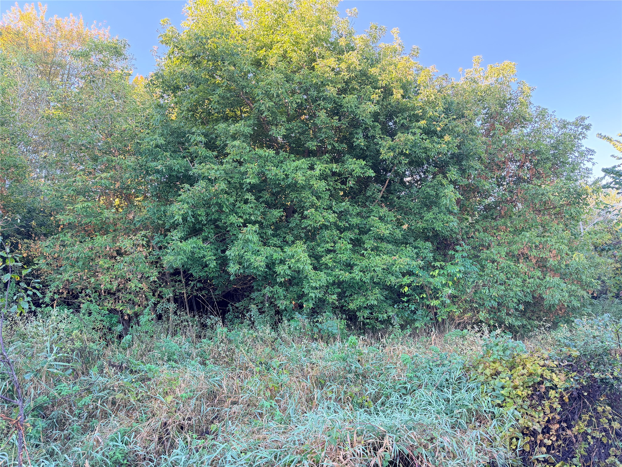 Chippewa Falls - Land photo 4 of 9
