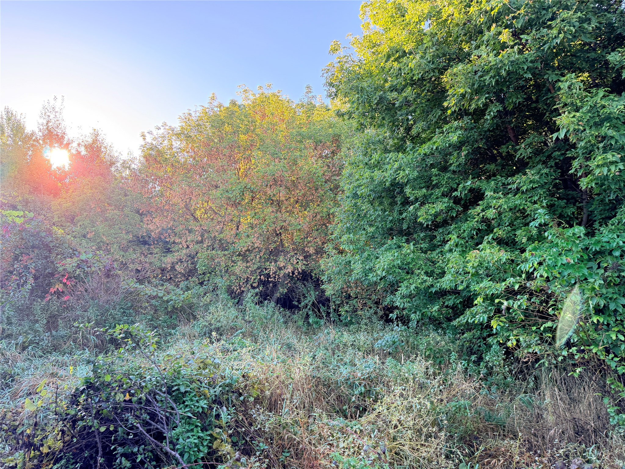 Chippewa Falls - Land photo 5 of 9