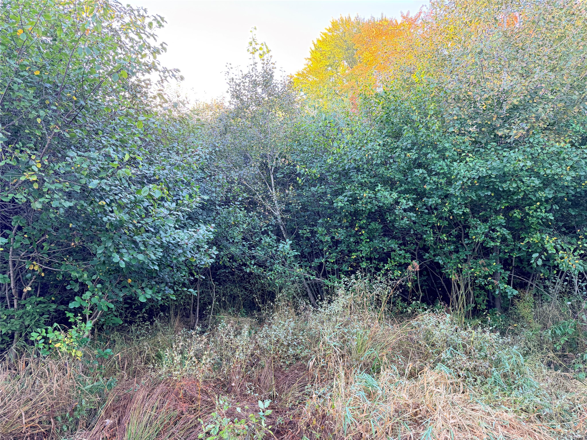 Property Photo #8
