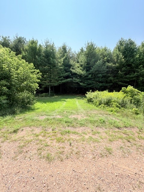 Photo of Lot 1 of CSM 4016 US Highway 12, Fall Creek, WI