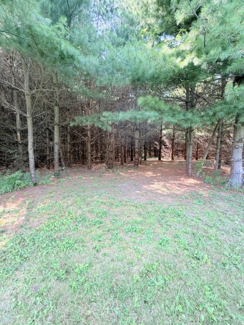 Fall Creek - Land photo 2 of 20