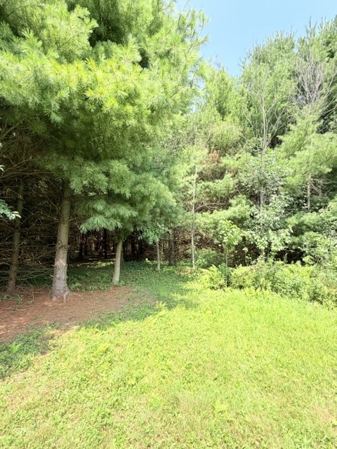 Fall Creek - Land photo 4 of 20