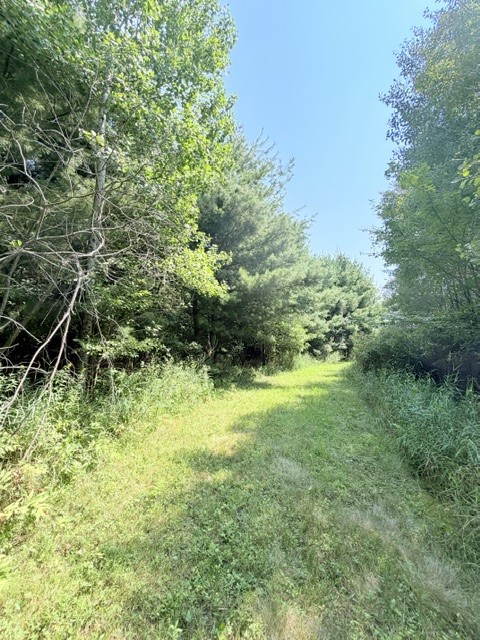Fall Creek - Land photo 5 of 20