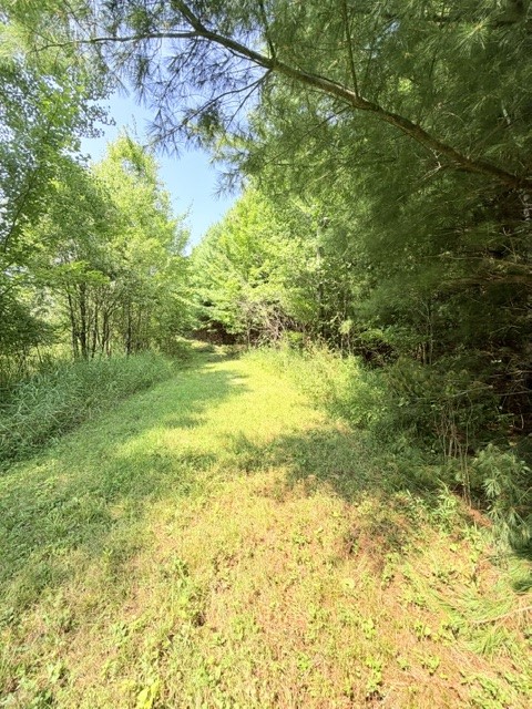 Fall Creek - Land photo 6 of 20