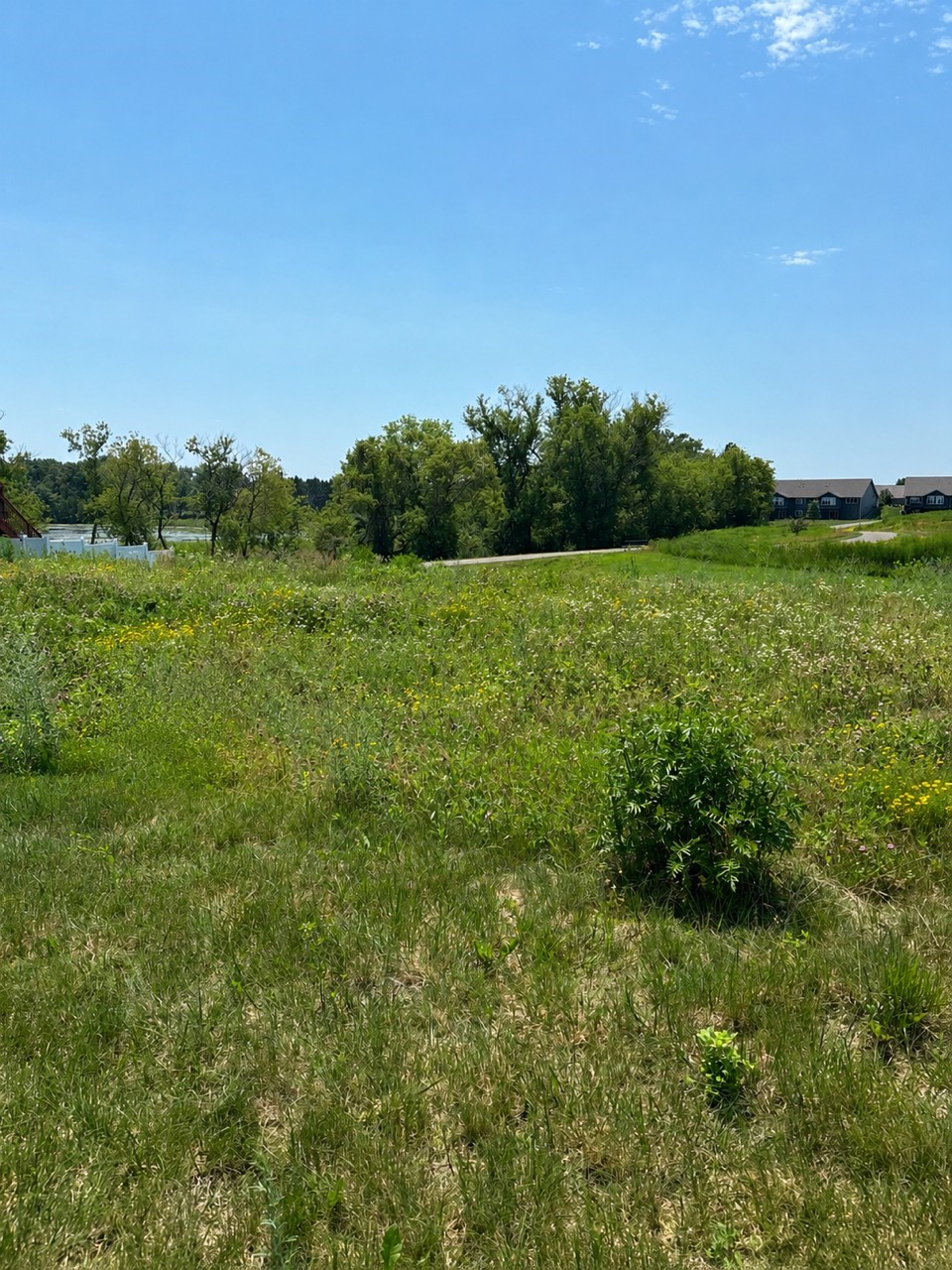 Rice Lake - Land Real Estate